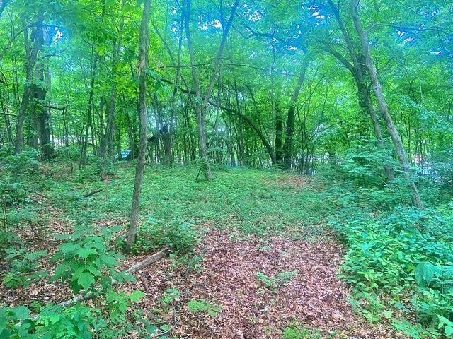 Zimmerman, MN 55398,XXXXX 98th ST NW