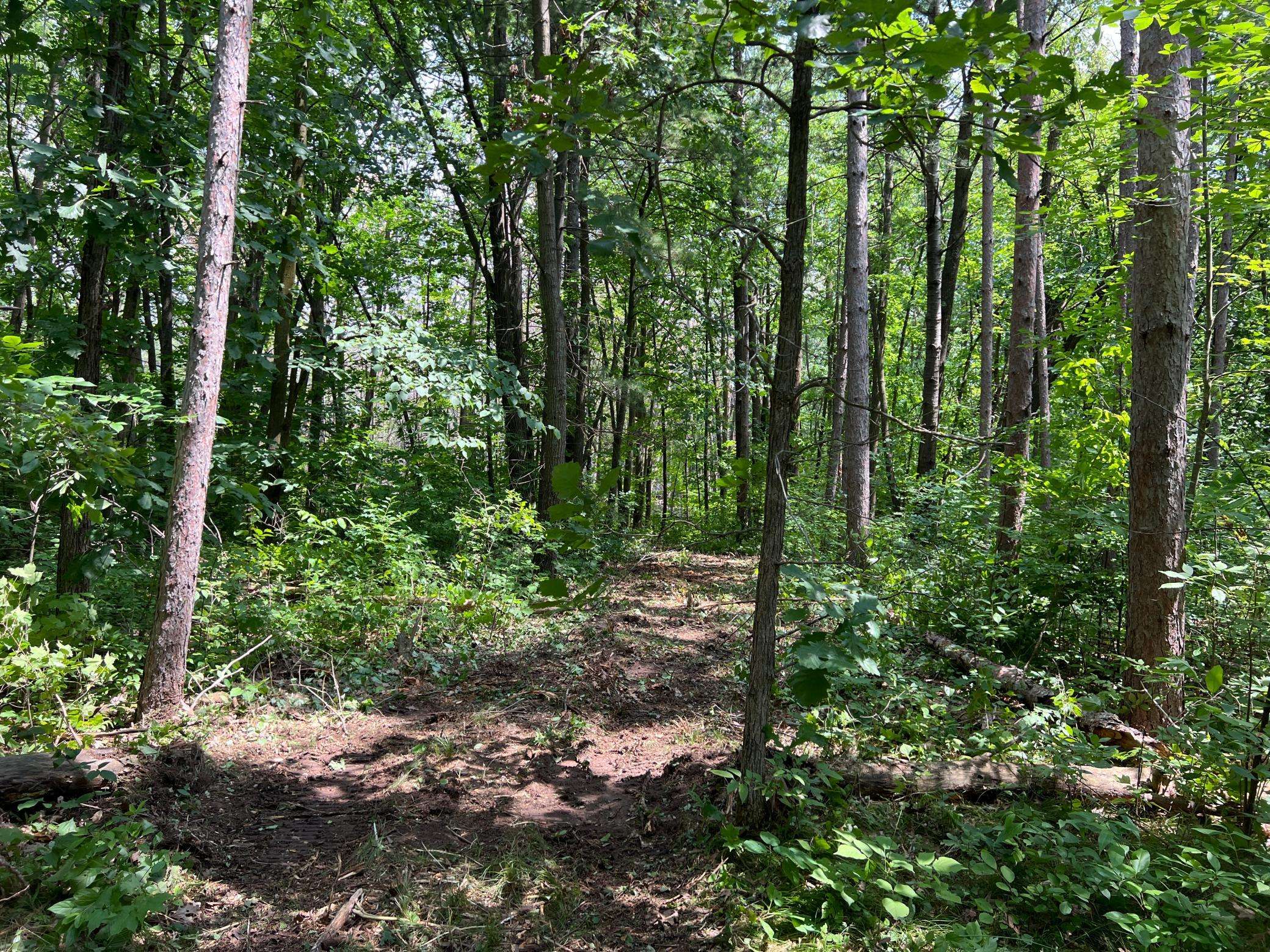 Chengwatana Twp, MN 55063,000 Cross Lake Rd