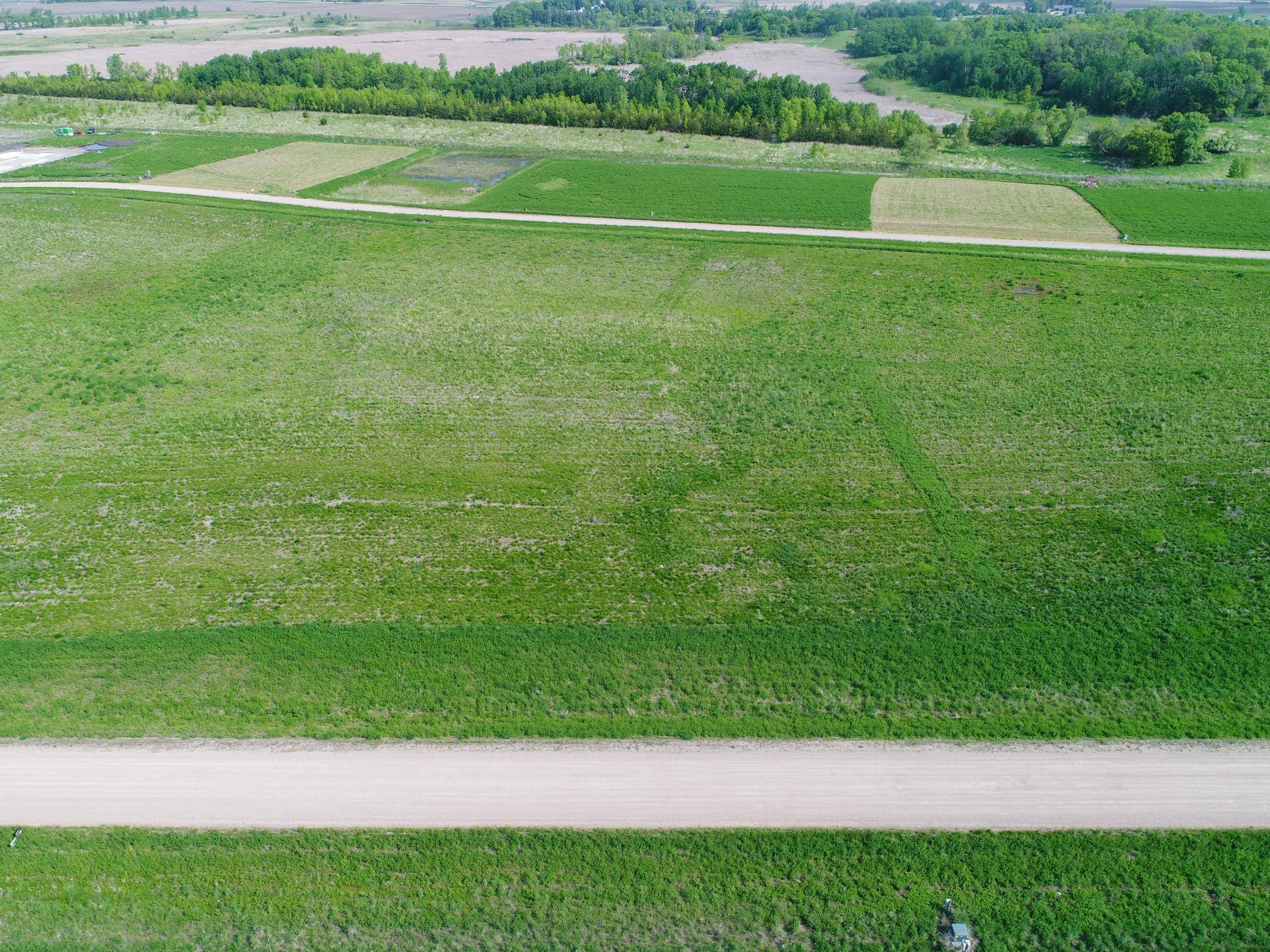 Osakis, MN 56360,Blk 2 Lot 6 Longview Circle SE