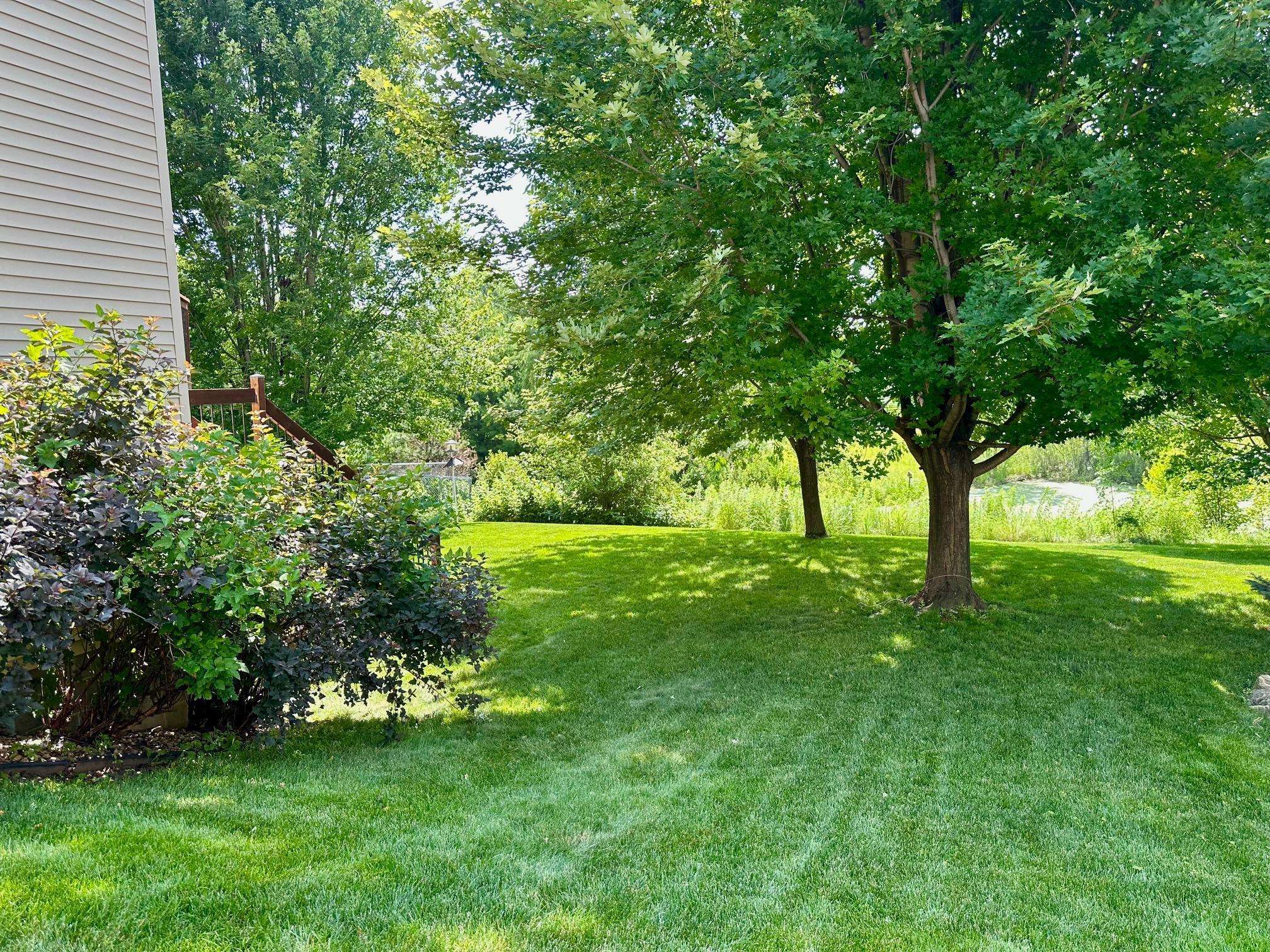 Rosemount, MN 55068,13880 Birchwood AVE