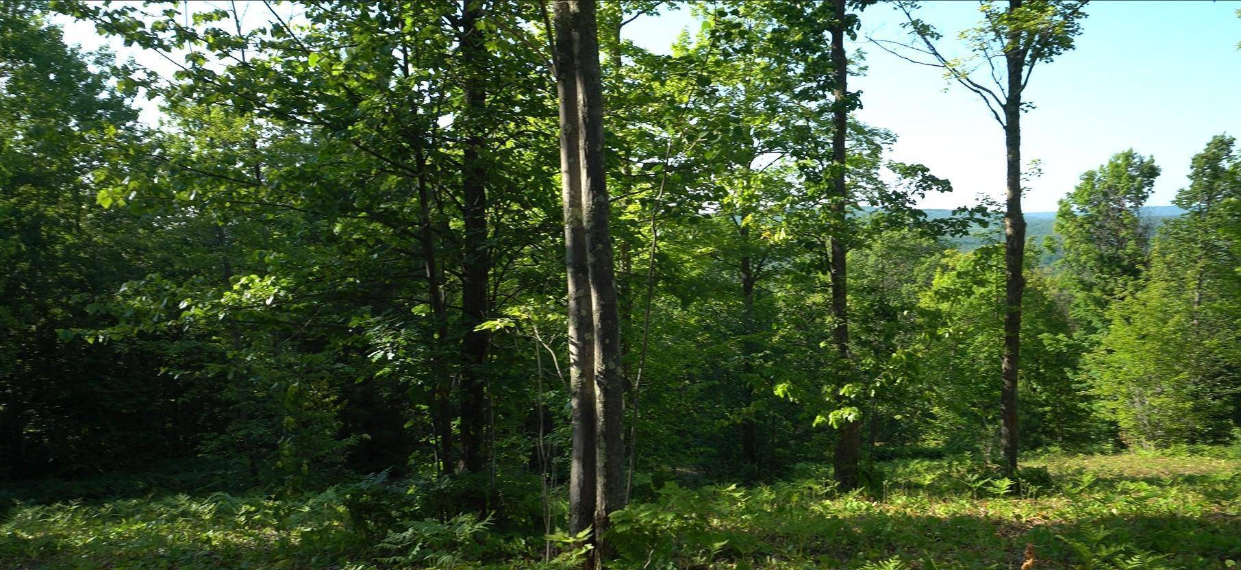 Bayfield, WI 54814,83xxx - Lot 13 Ashwabay RD