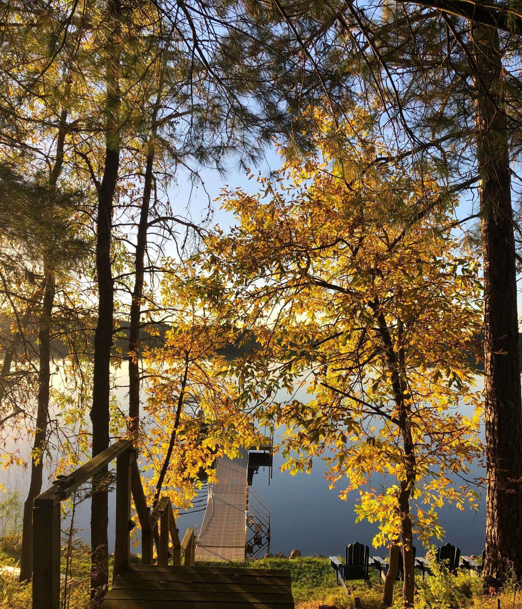 Menahga, MN 56464,12085 Arrowhead DR
