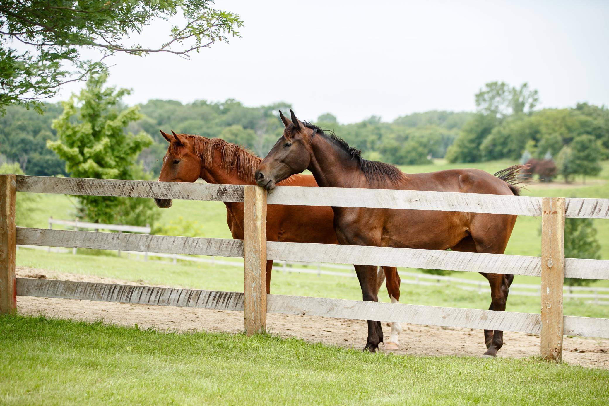 Franklin Twp, MN 55328,9685 County Road 13 SE