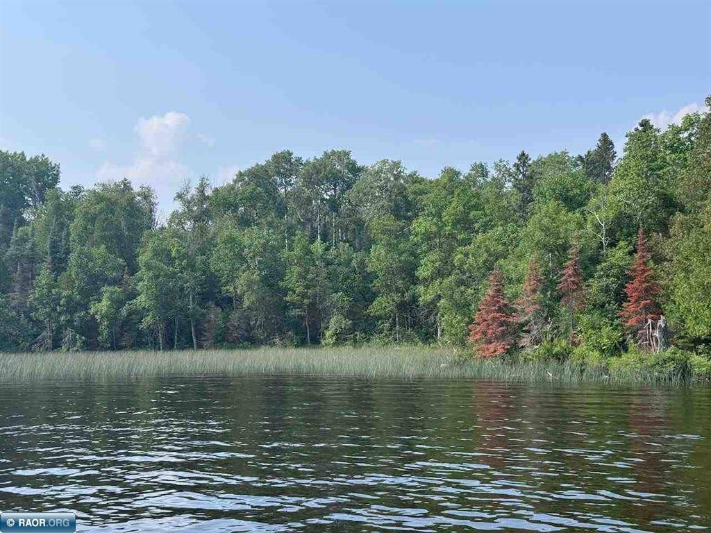 Tower, MN 55790,TBD Lake Vermilion N