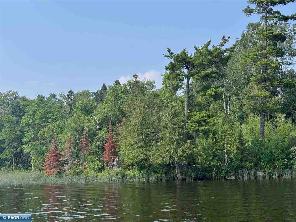 Tower, MN 55790,TBD Lake Vermilion N