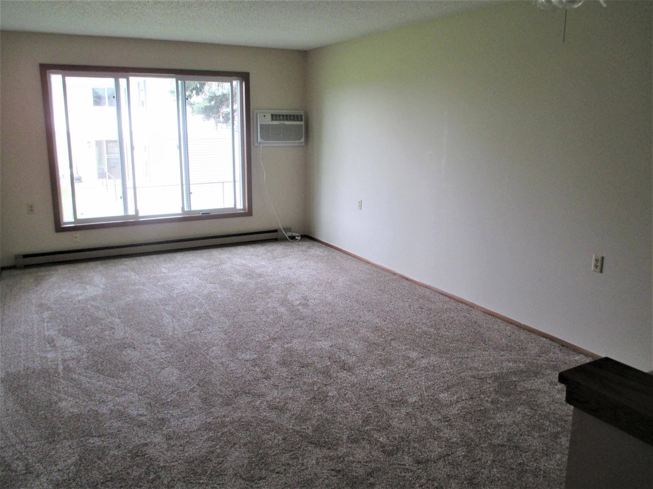 Clara City, MN 56222,507 Division ST N #309