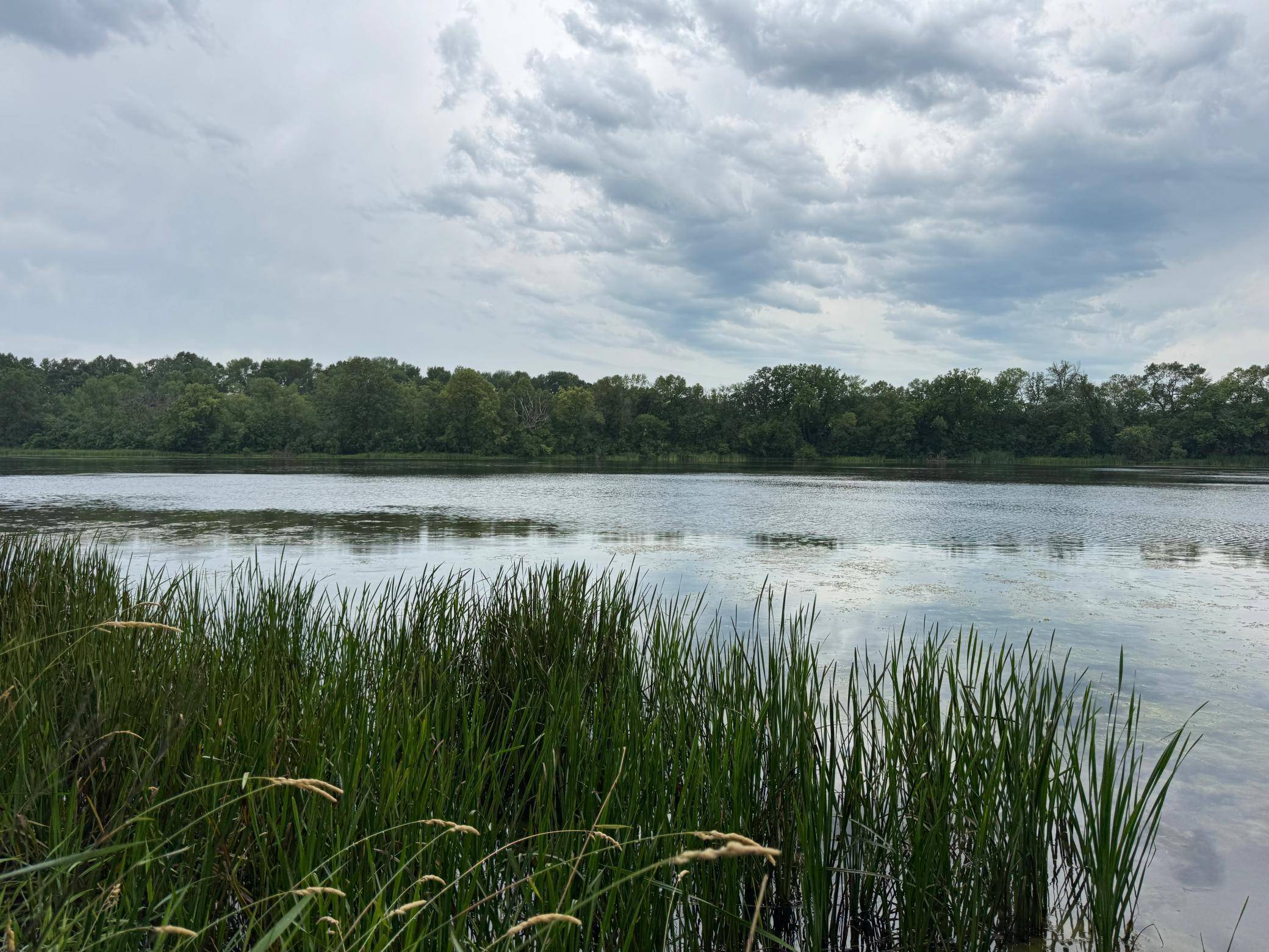 Aurdal Twp, MN 56586,tbd Bass Lake LN