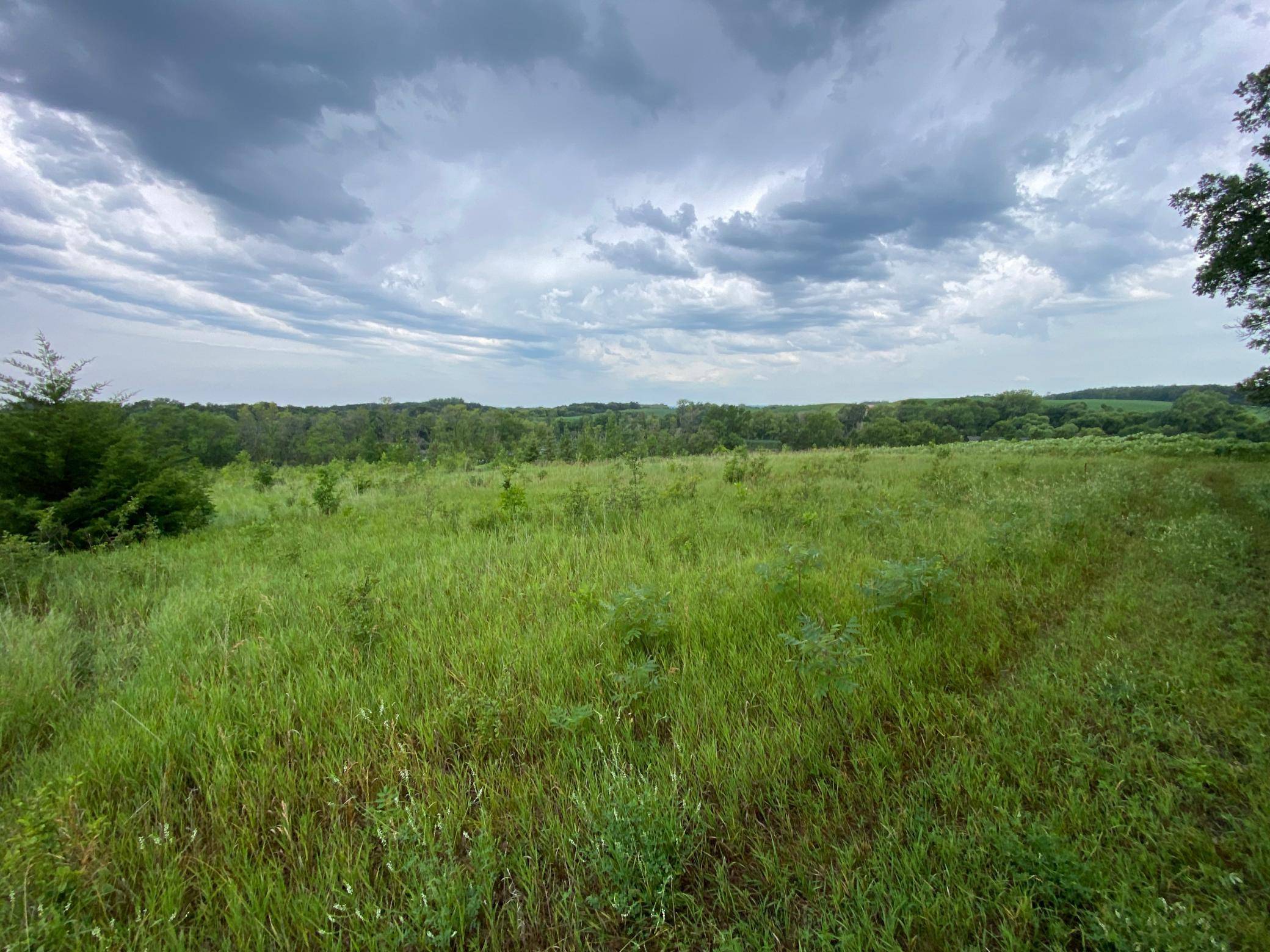 Aurdal Twp, MN 56586,tbd Bass Lake LN