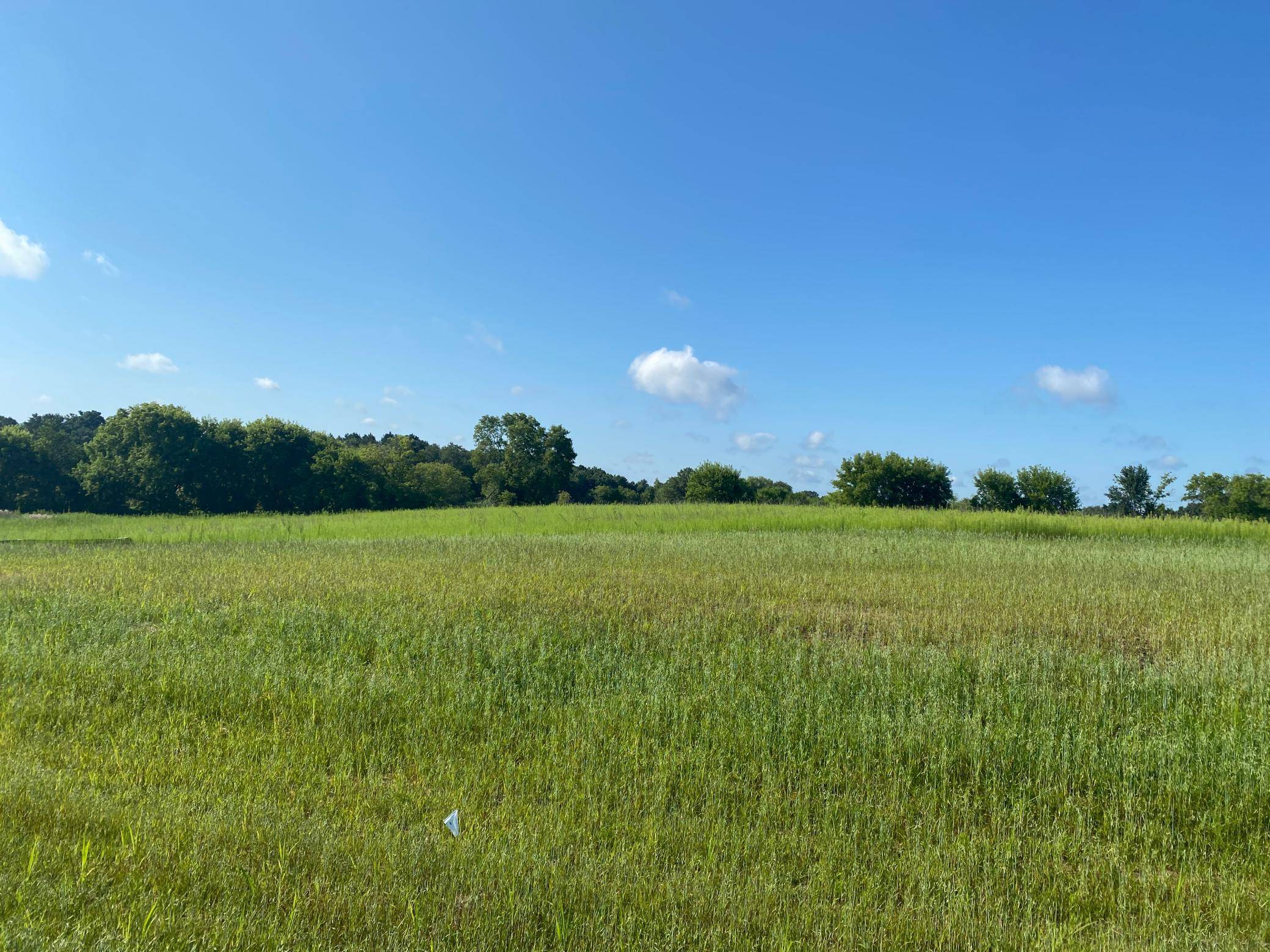 Zimmerman, MN 55398,XXXX 280th AVE NW