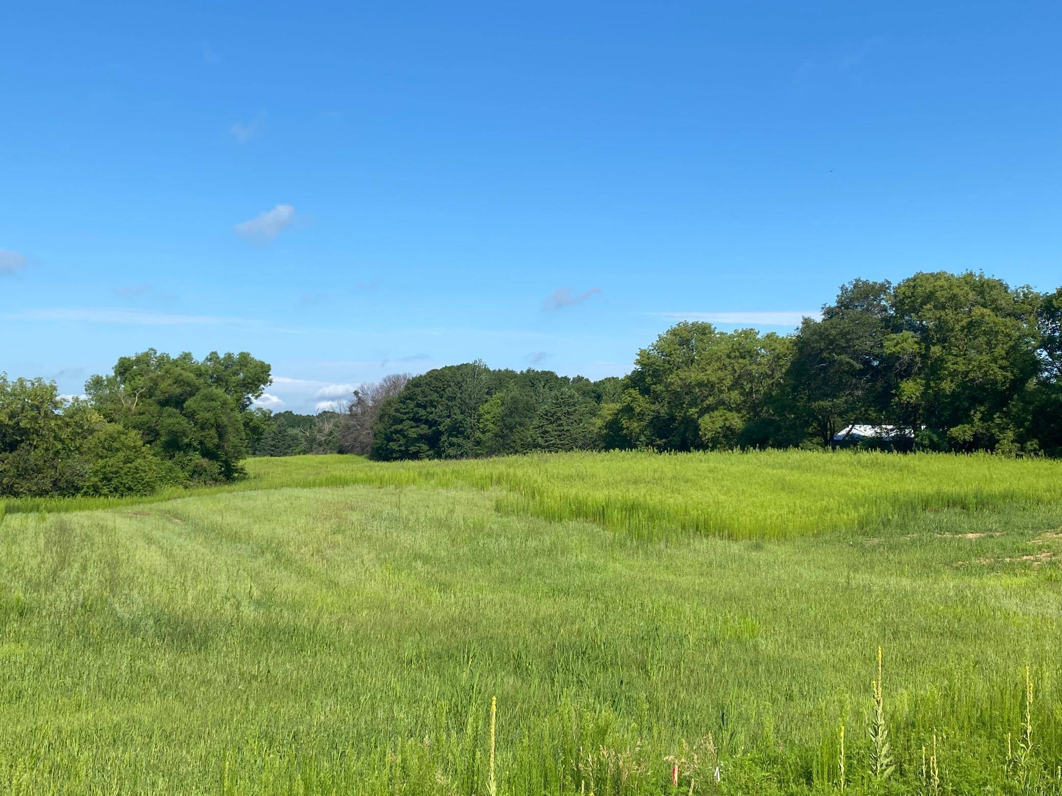 Zimmerman, MN 55398,TBD 116th ST NW