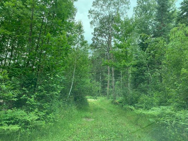 Sand Lake Twp, MN 56636,TBD Mushgee RD