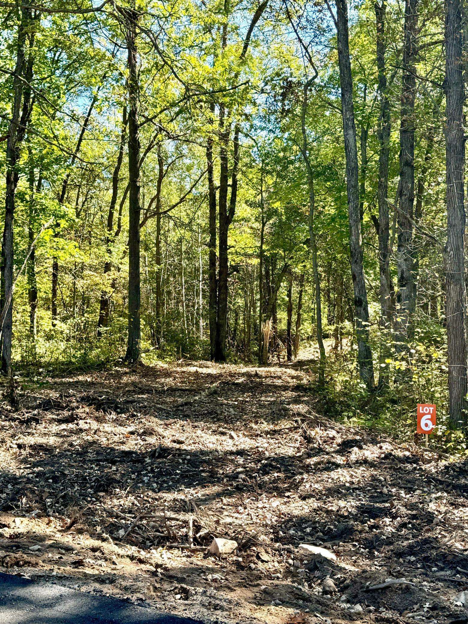 Fairview Twp, MN 56468,TBD6 Winter Creek CT