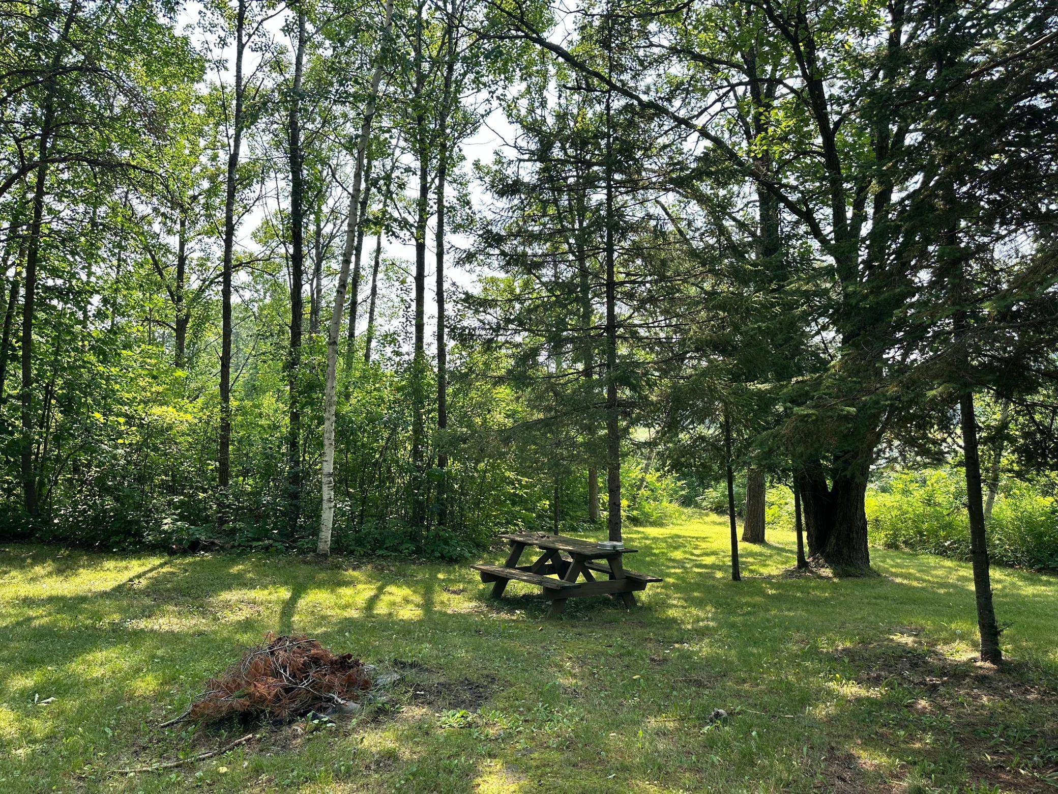 Park Rapids, MN 56470,31180 Cr-4