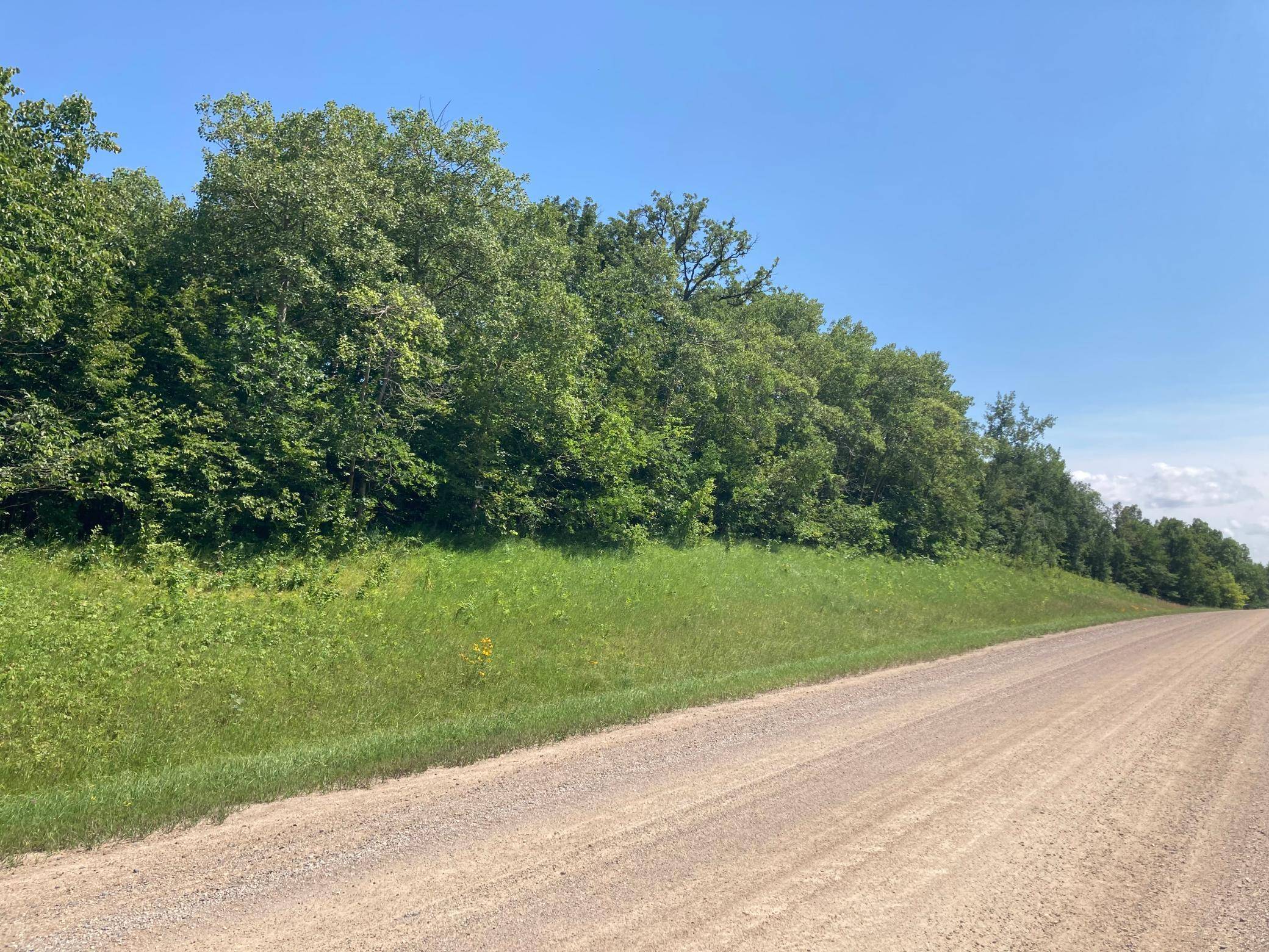 Parke Twp, MN 56549,000 280th ST S