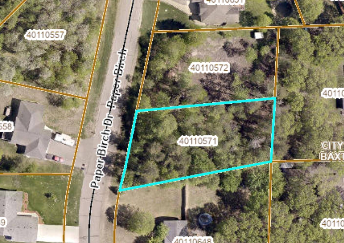 Baxter, MN 56425,TDB Paper Birch DR