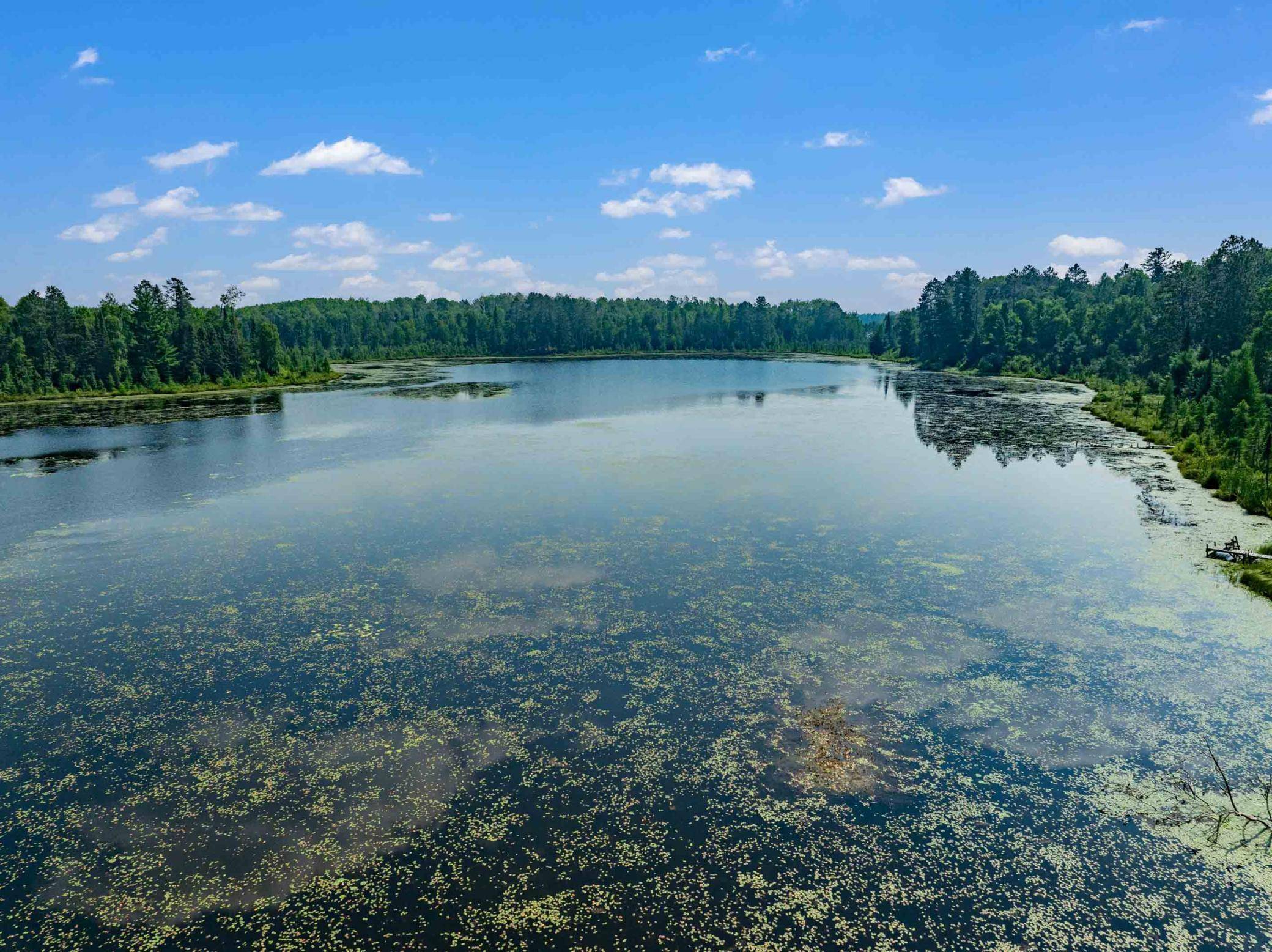 Wirt, MN 56688,52896 County Road 31