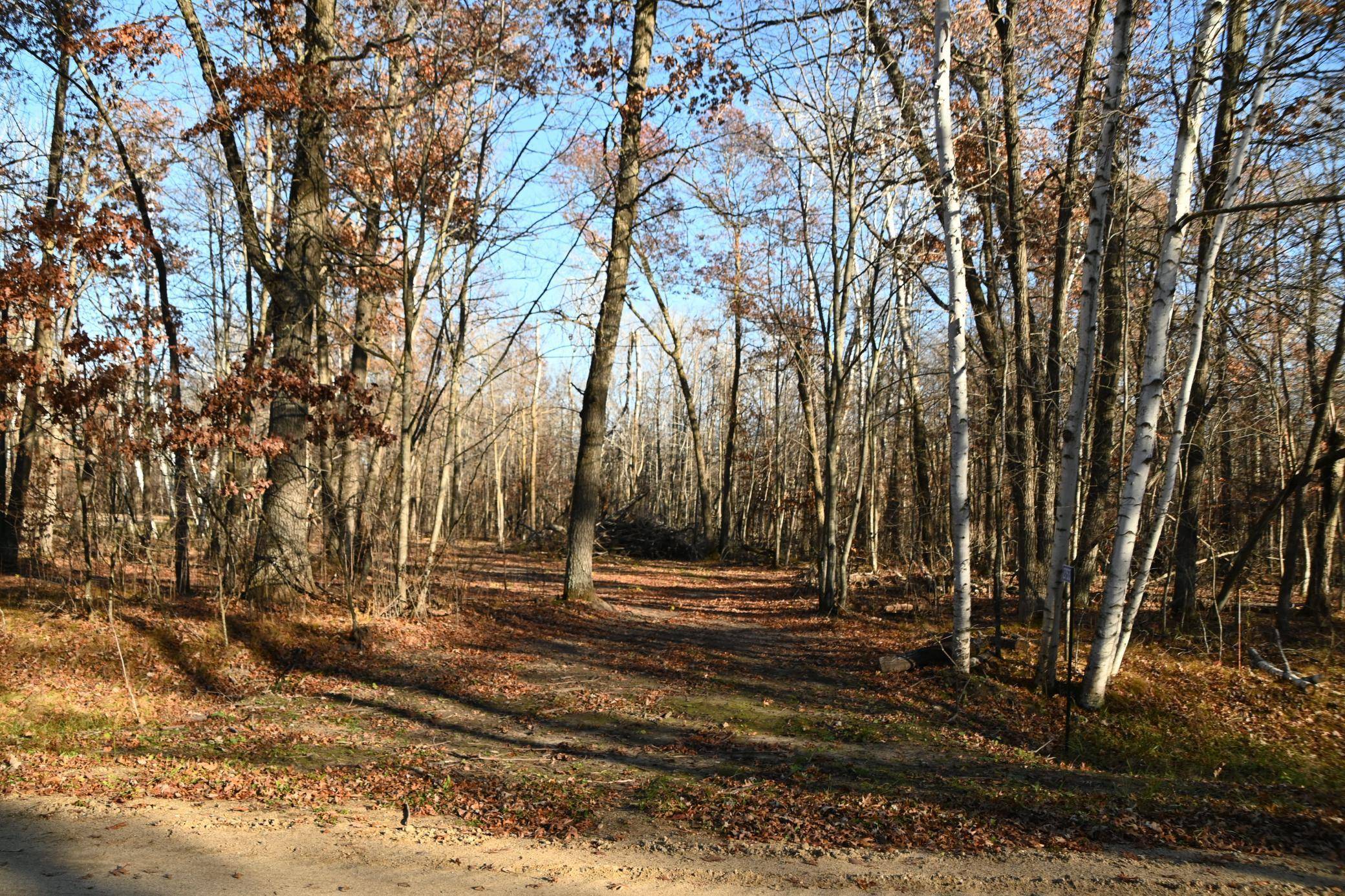 Browerville, MN 56438,27537 Ode CIR