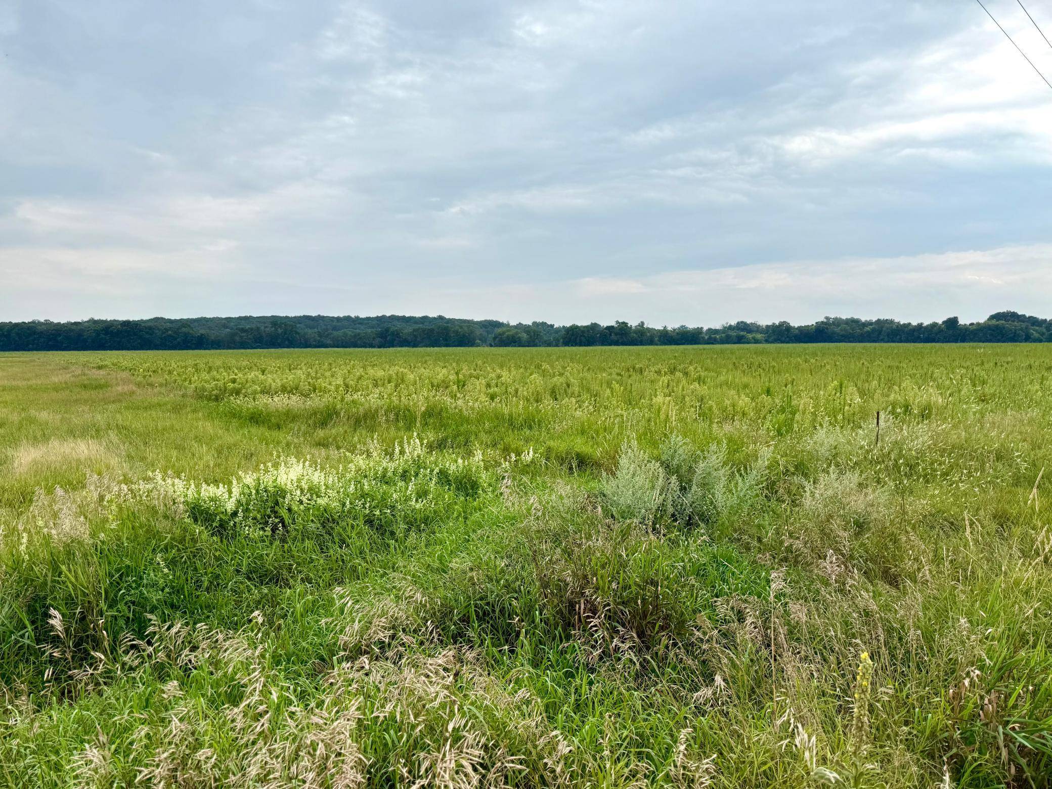 Saint Joseph Twp, MN 56374,28xxx Cr-2