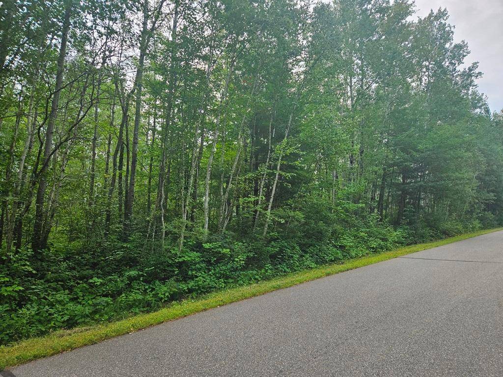 Grand Rapids, MN 55744,Lot 4 Blk 2 SW 1st AVE