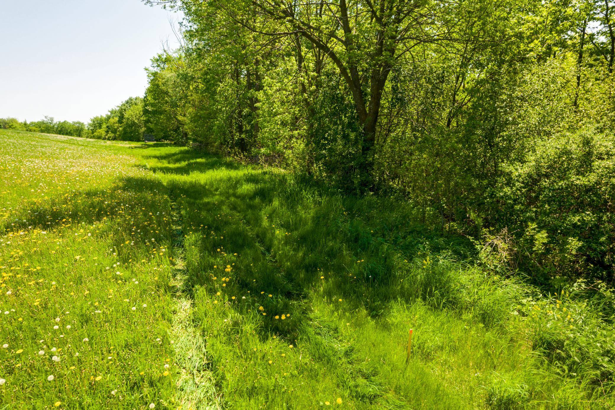 Forest Twp, WI 54013,XXX Hwy 64