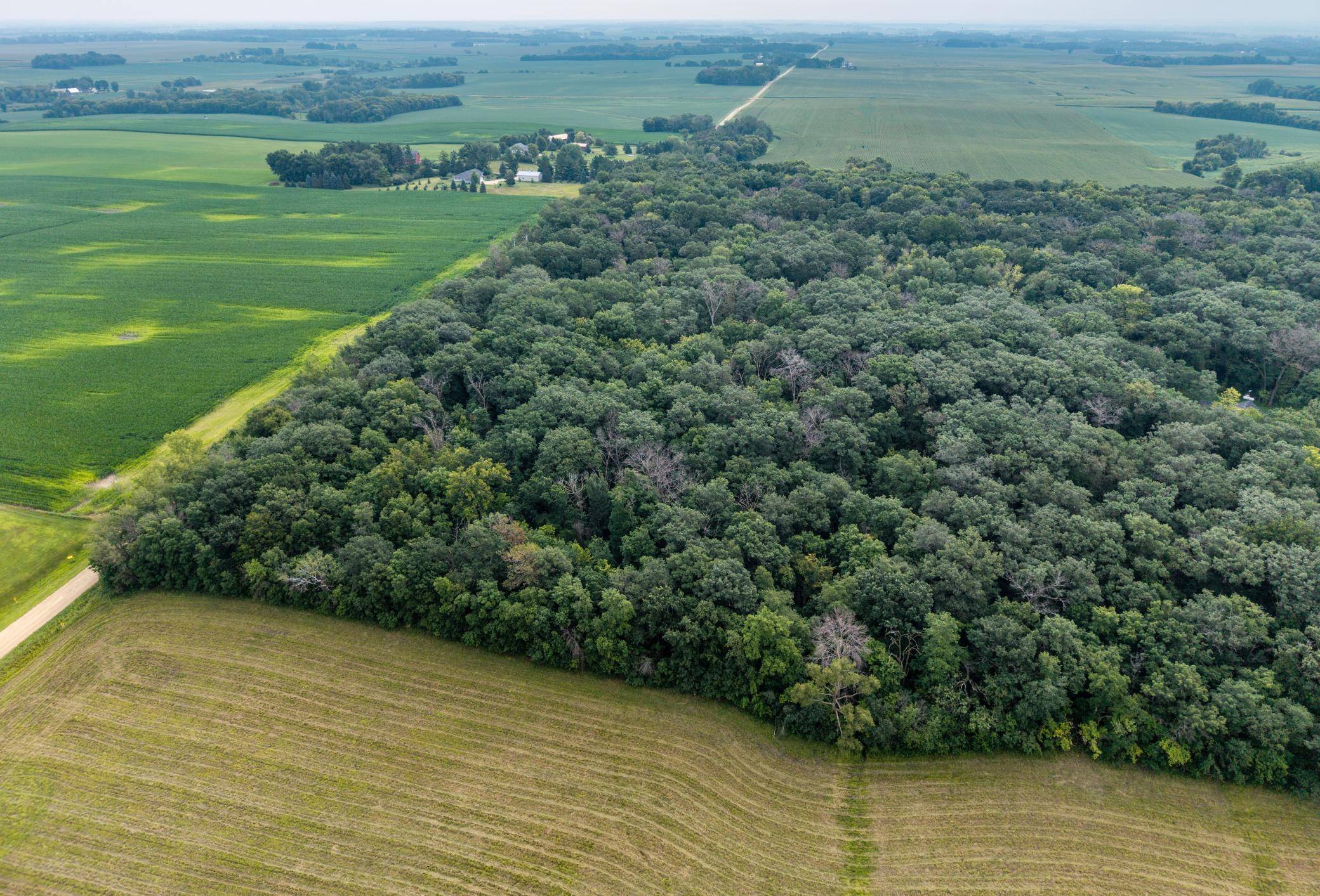 Eureka Twp, MN 55024,TBD 265th ST