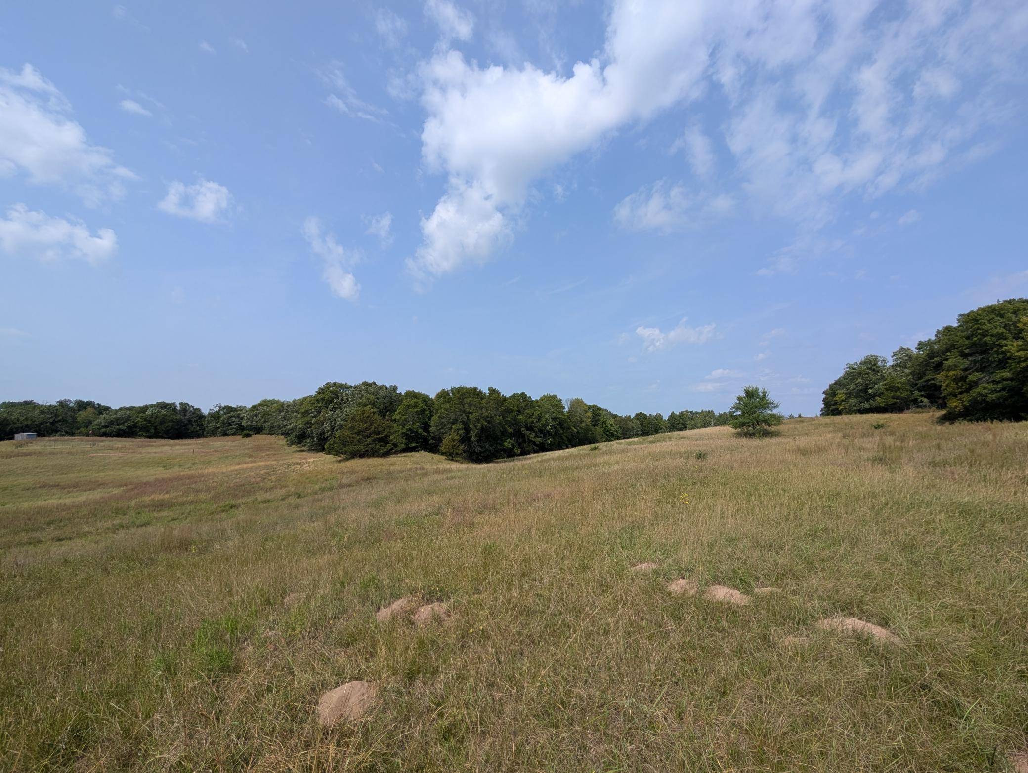 Elk River, MN 55330,xxxx 217 AVE NW