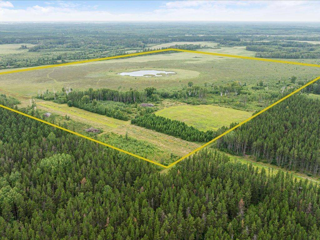 Menahga, MN 56434,XXX Cass line rd