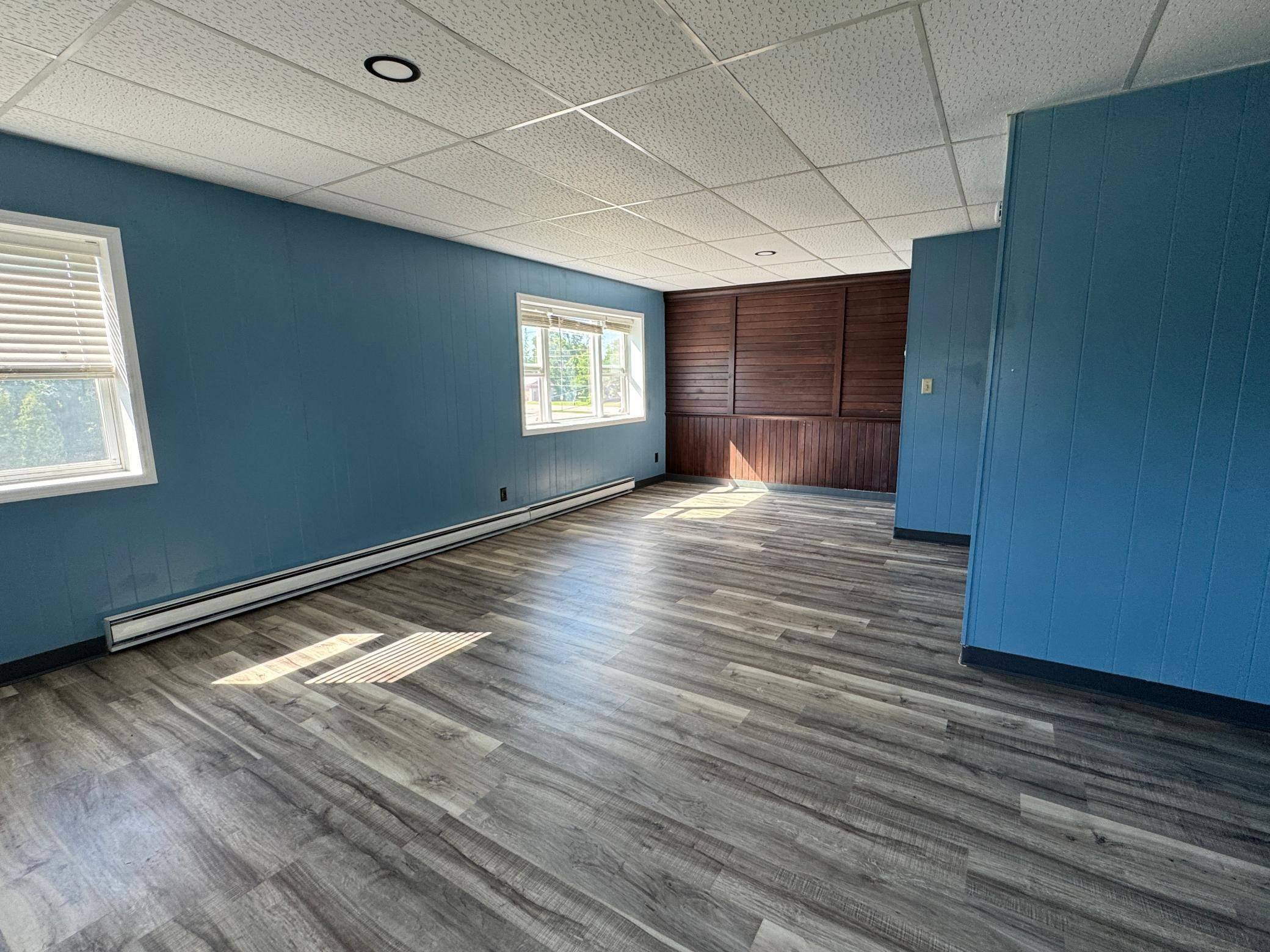 Audubon, MN 56511,280 Eagle ST