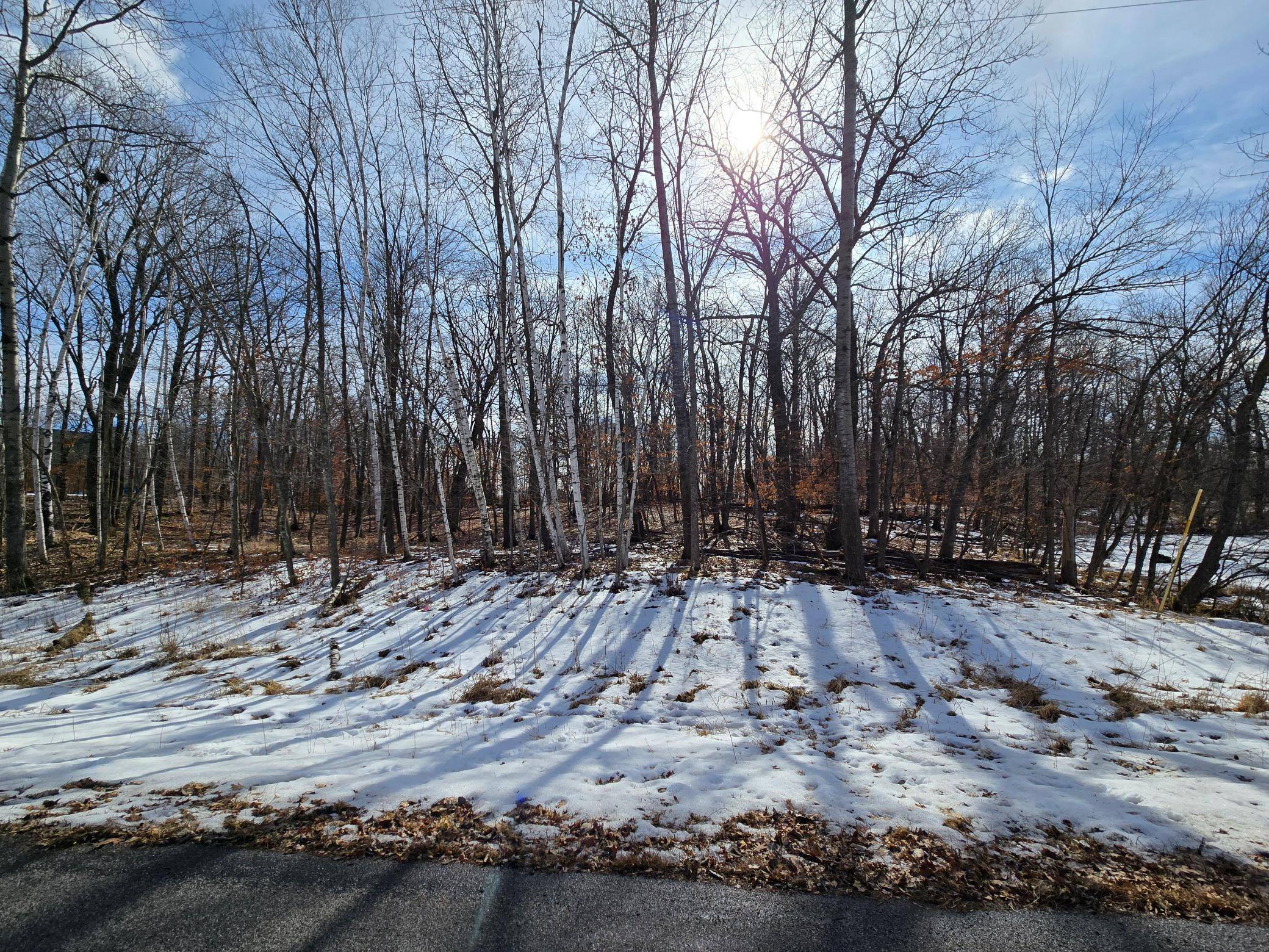 Forest Lake, MN 55025,XXXX Julep Trail