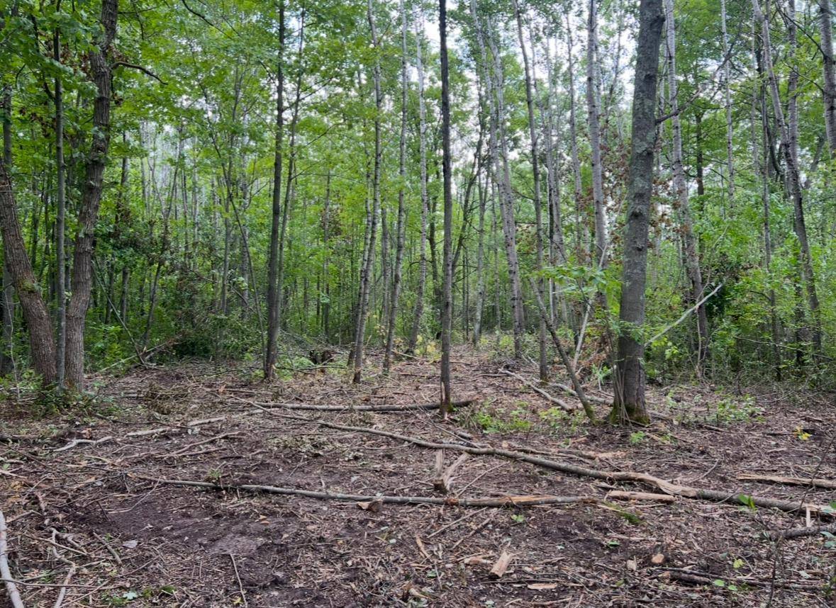 Brainerd, MN 56401,Lot 5 Butternut Road