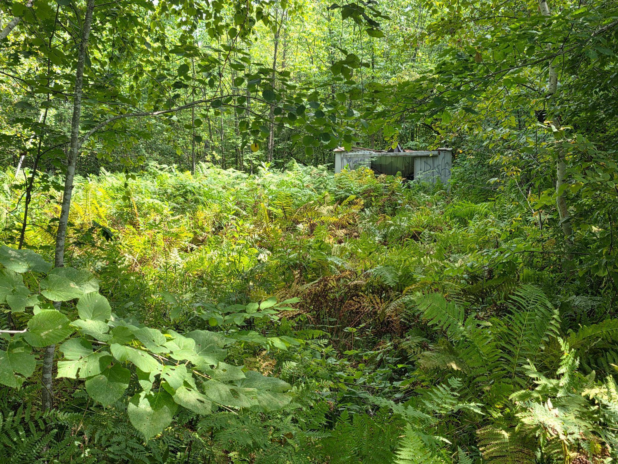 Arna Twp, MN 55072,000 Markville Road