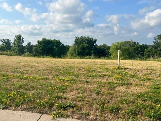 Albany, MN 56307,113 Par DR