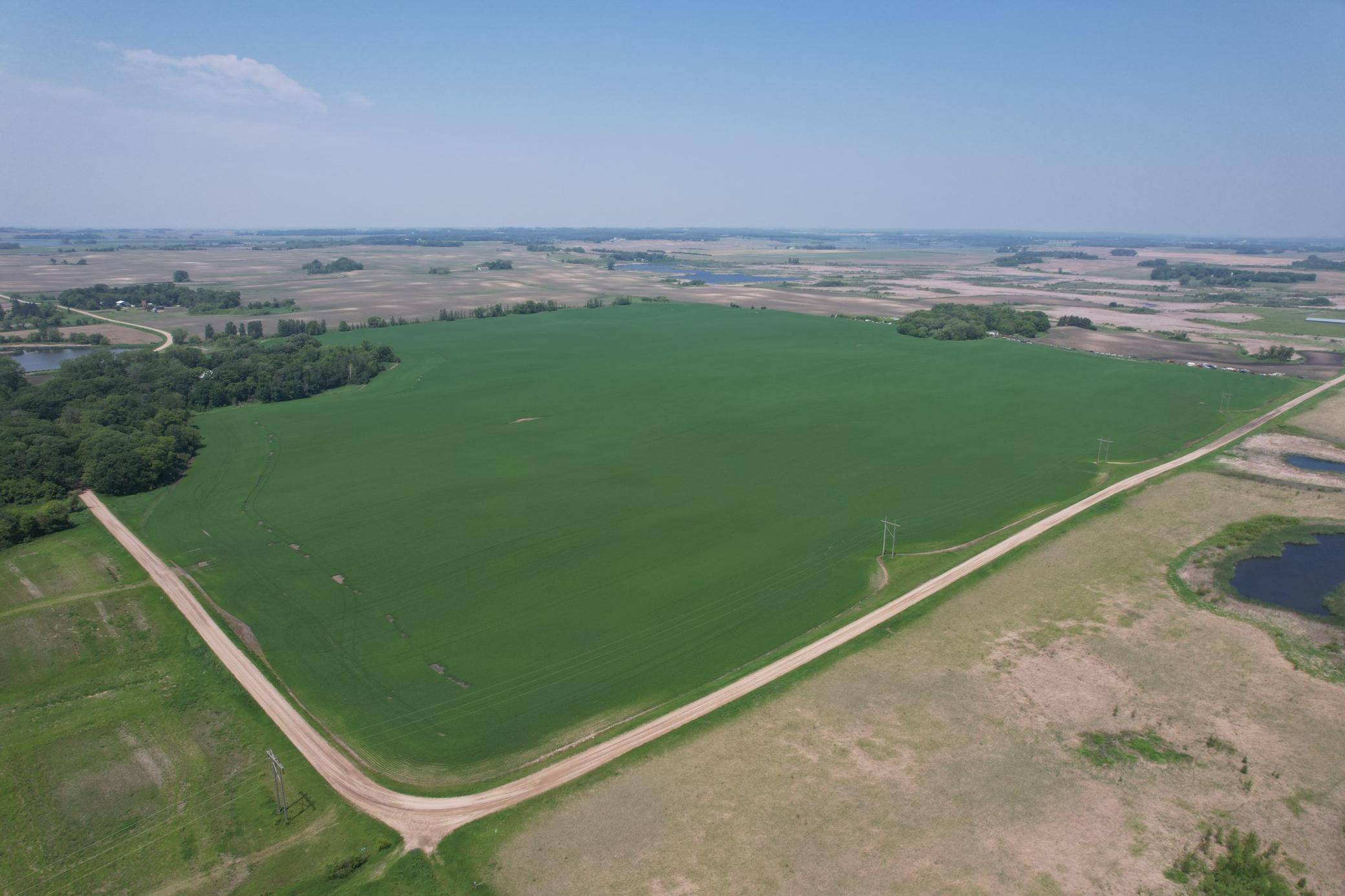 Pelican Twp, MN 56572,TBD 400th ST