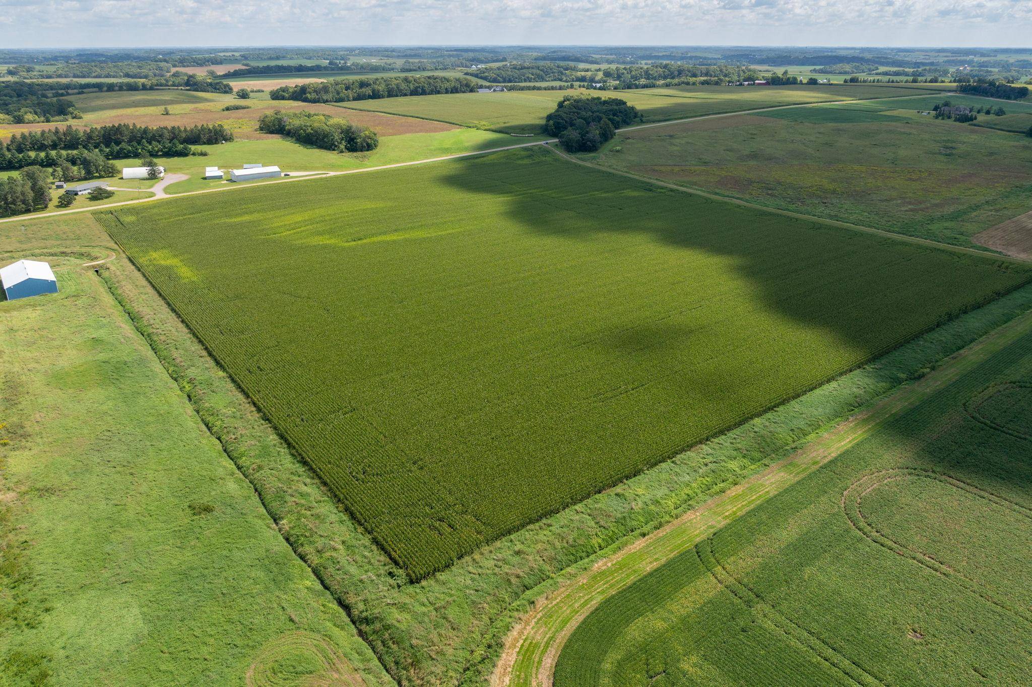 Montgomery, MN 56069,XXX 141st AVE