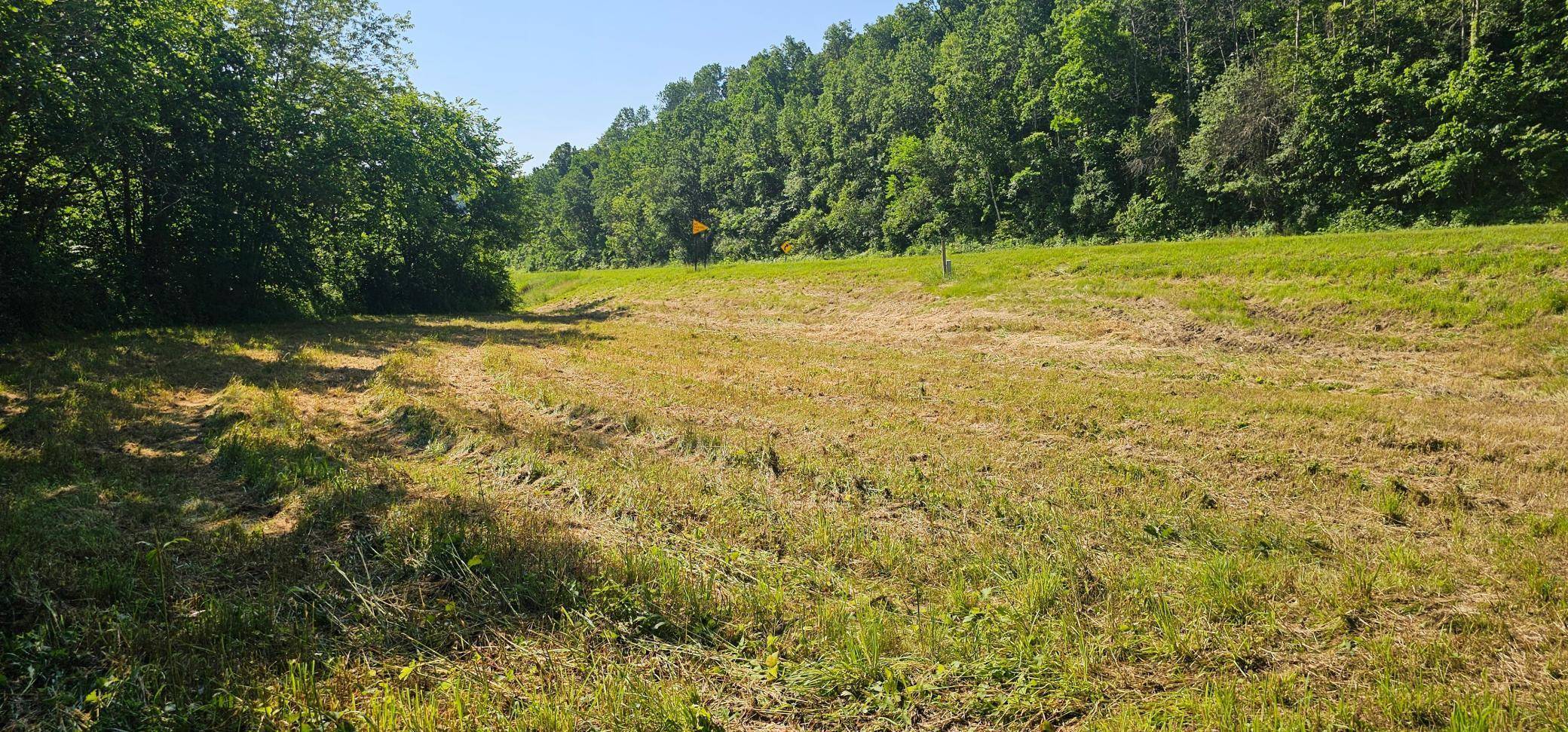 Brownsville, MN 55919,TBD CTY 18