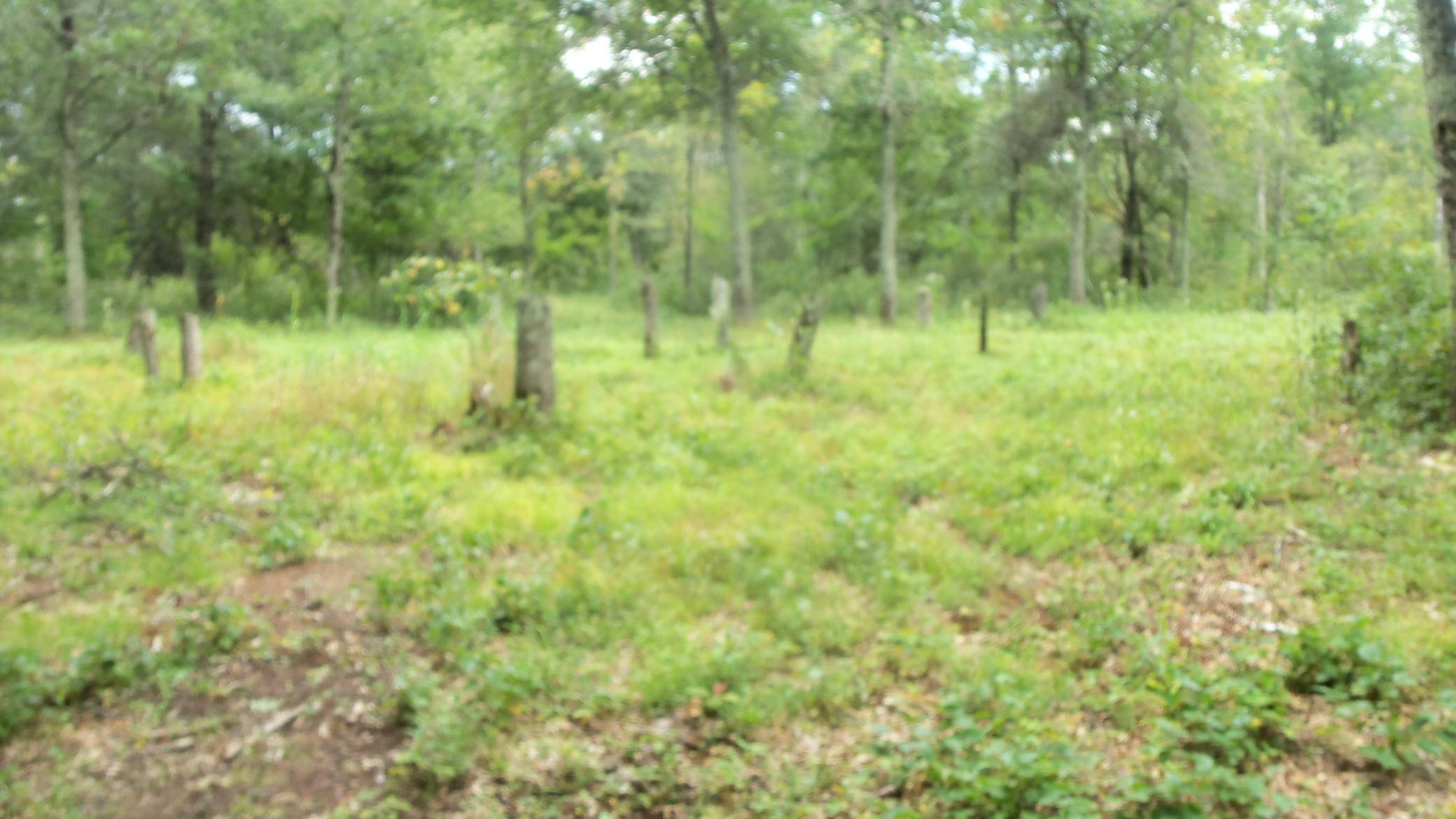 Anderson Twp, WI 54840,20372 Riverview TRL