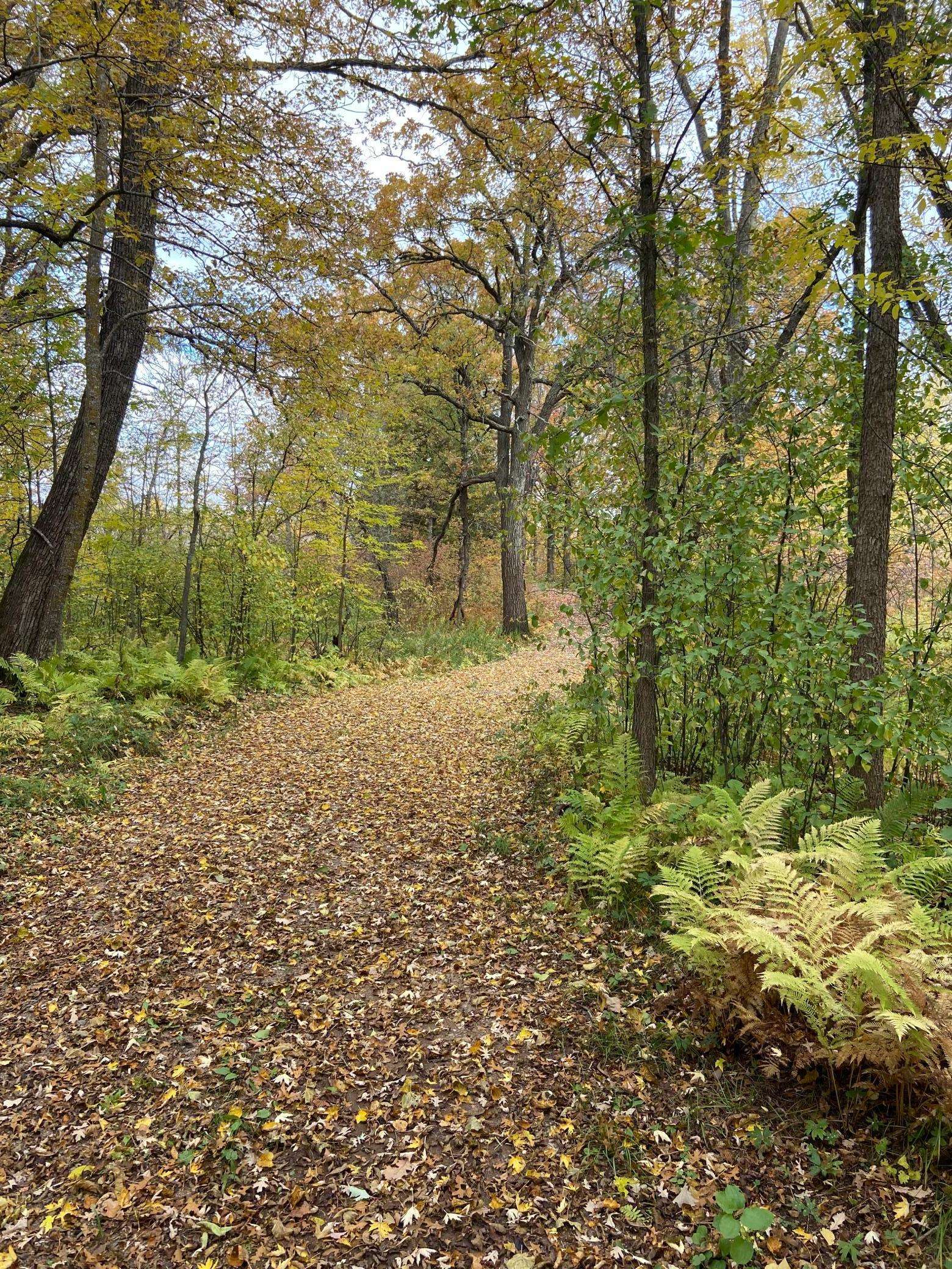 Sturgeon Lake, MN 55783,28350 Moose Horn LN