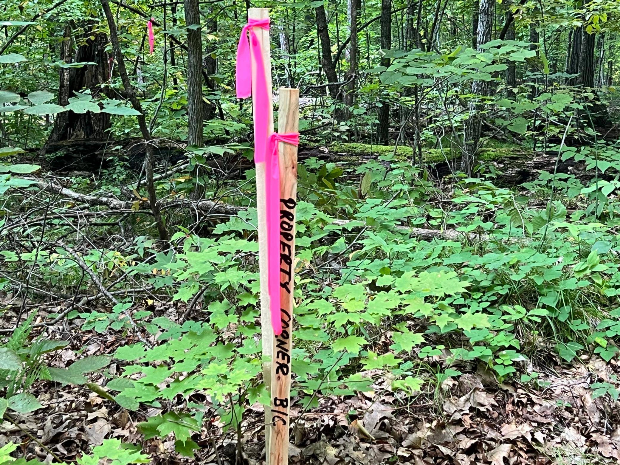 Aitkin, MN 56431,45XXX 289th Ln