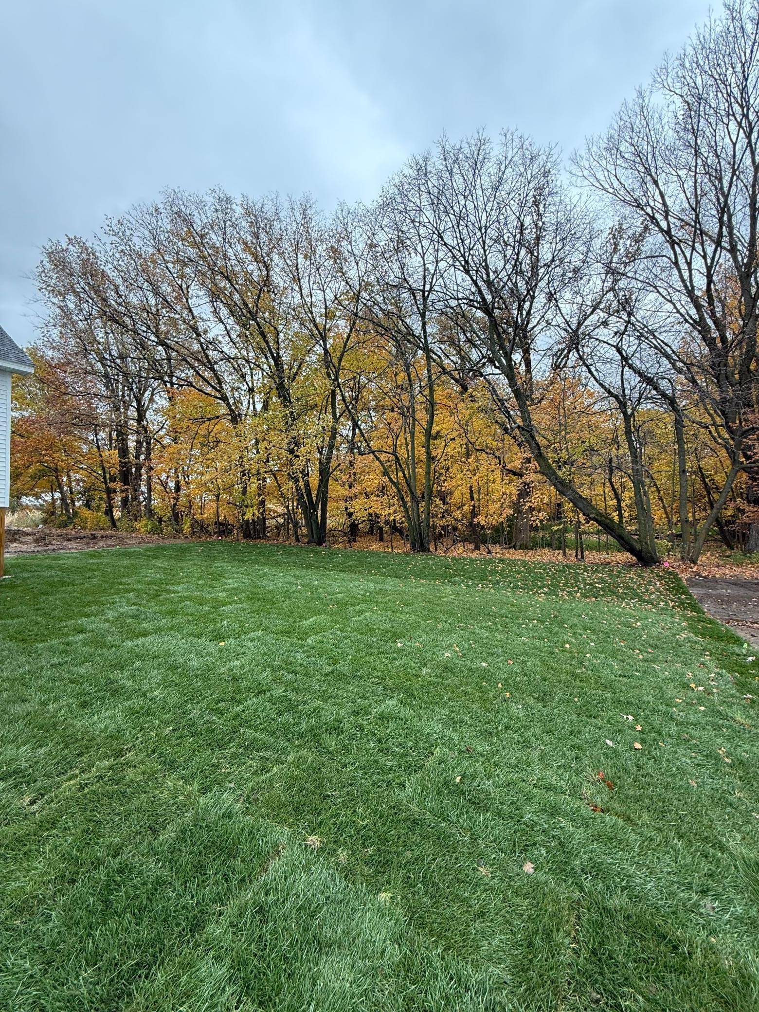 Delano, MN 55328,727 Rosebud LN