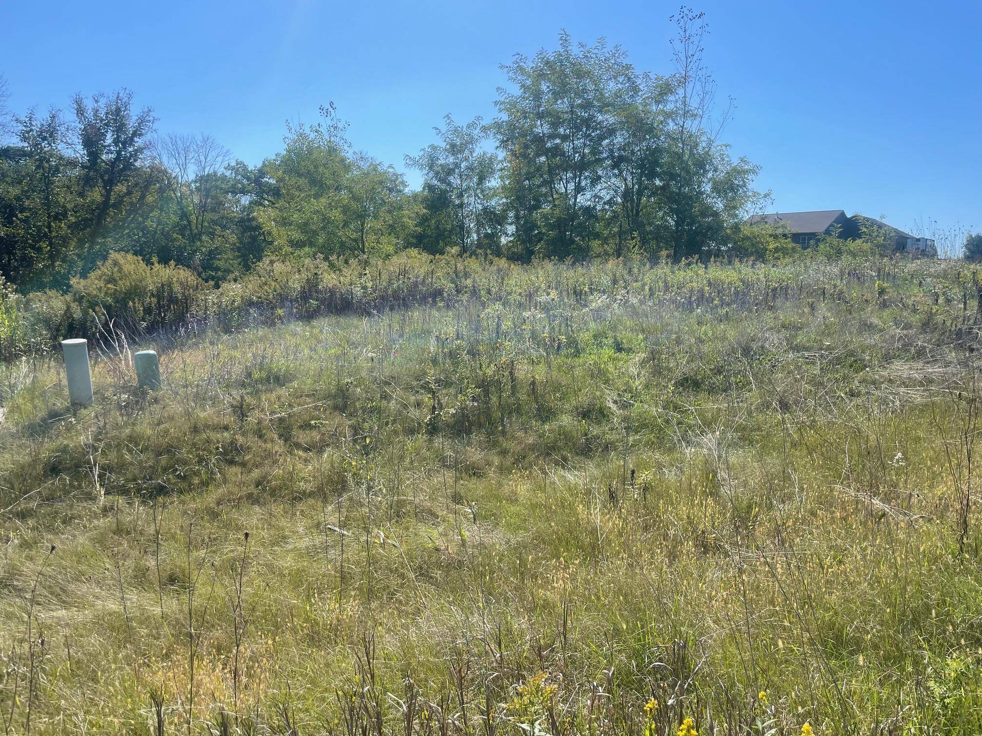 Menomonie, WI 54751,1112 Timber PATH