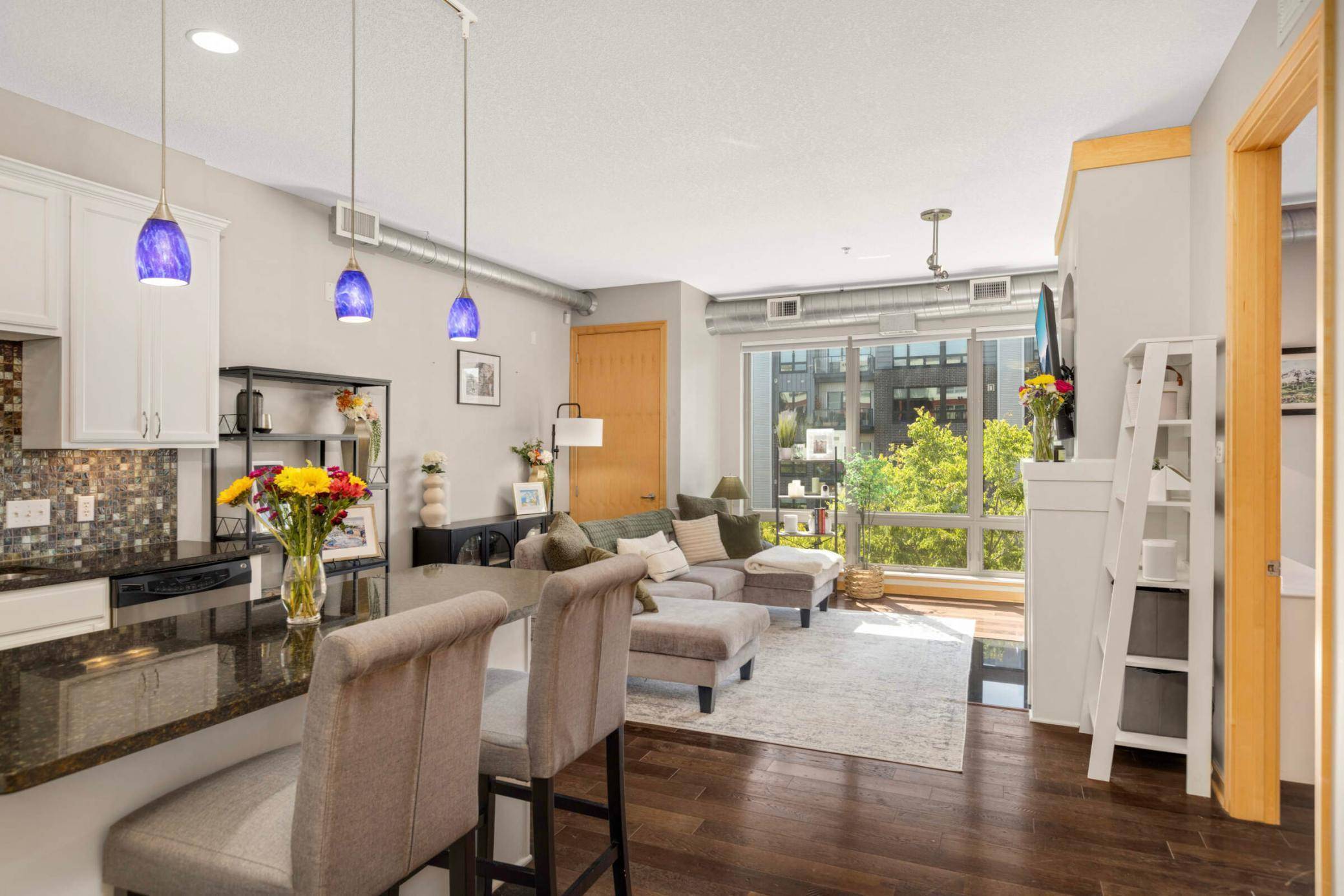 Saint Paul, MN 55102,240 Spring ST #303