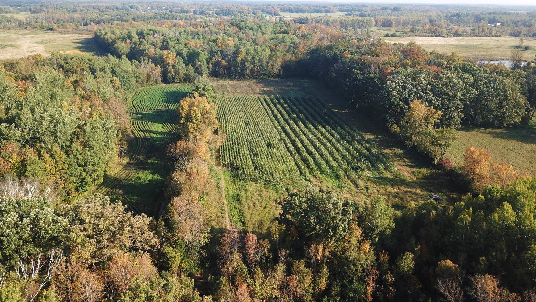 Pike Creek Twp, MN 56345,TBD 140th St