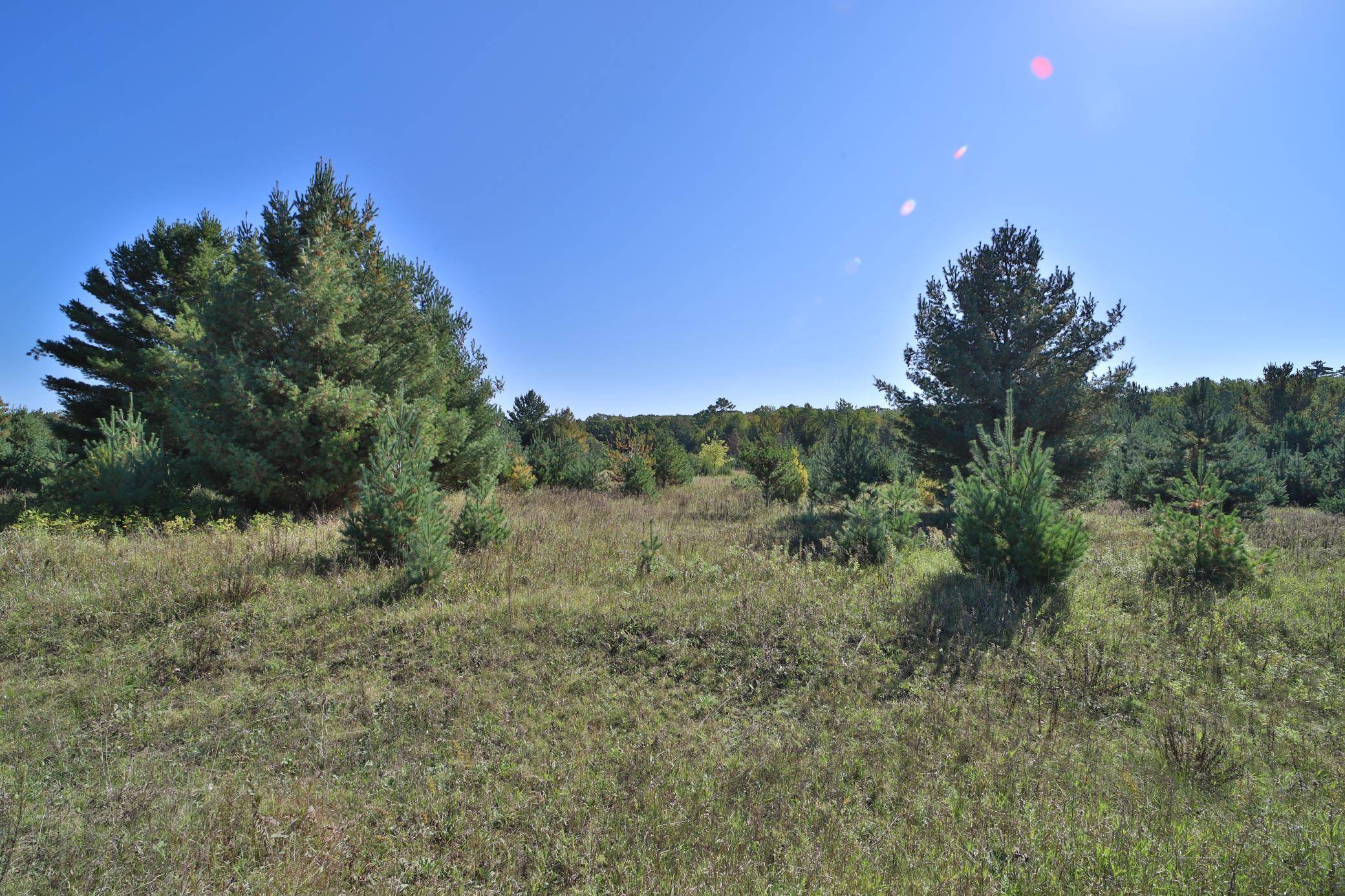 Browerville, MN 56438,TBD Partridge CT