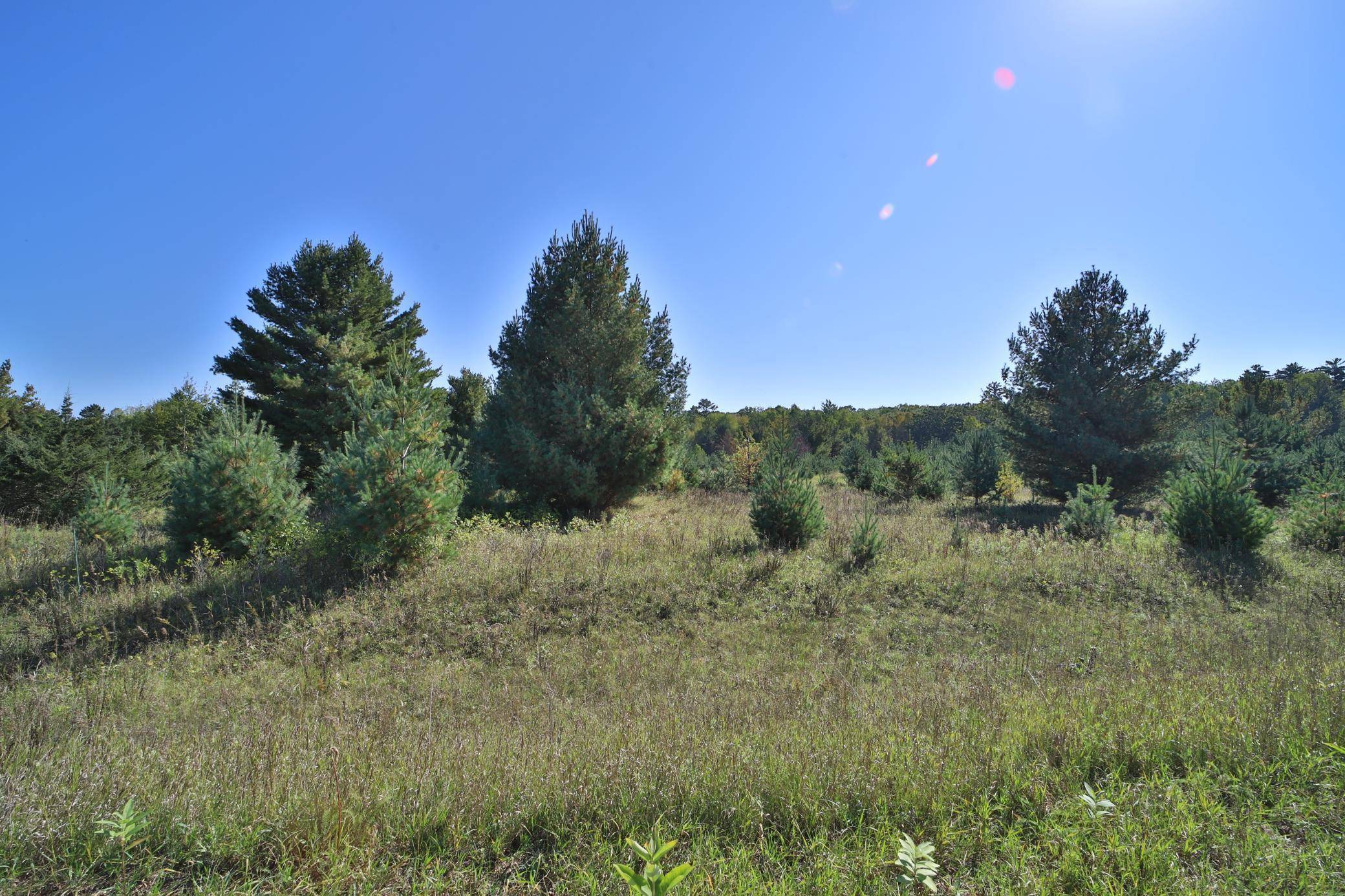 Browerville, MN 56438,TBD Partridge CT