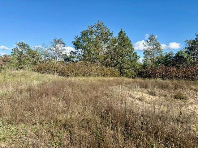 Bemidji, MN 56601,Lot 14 Country Field LN SW