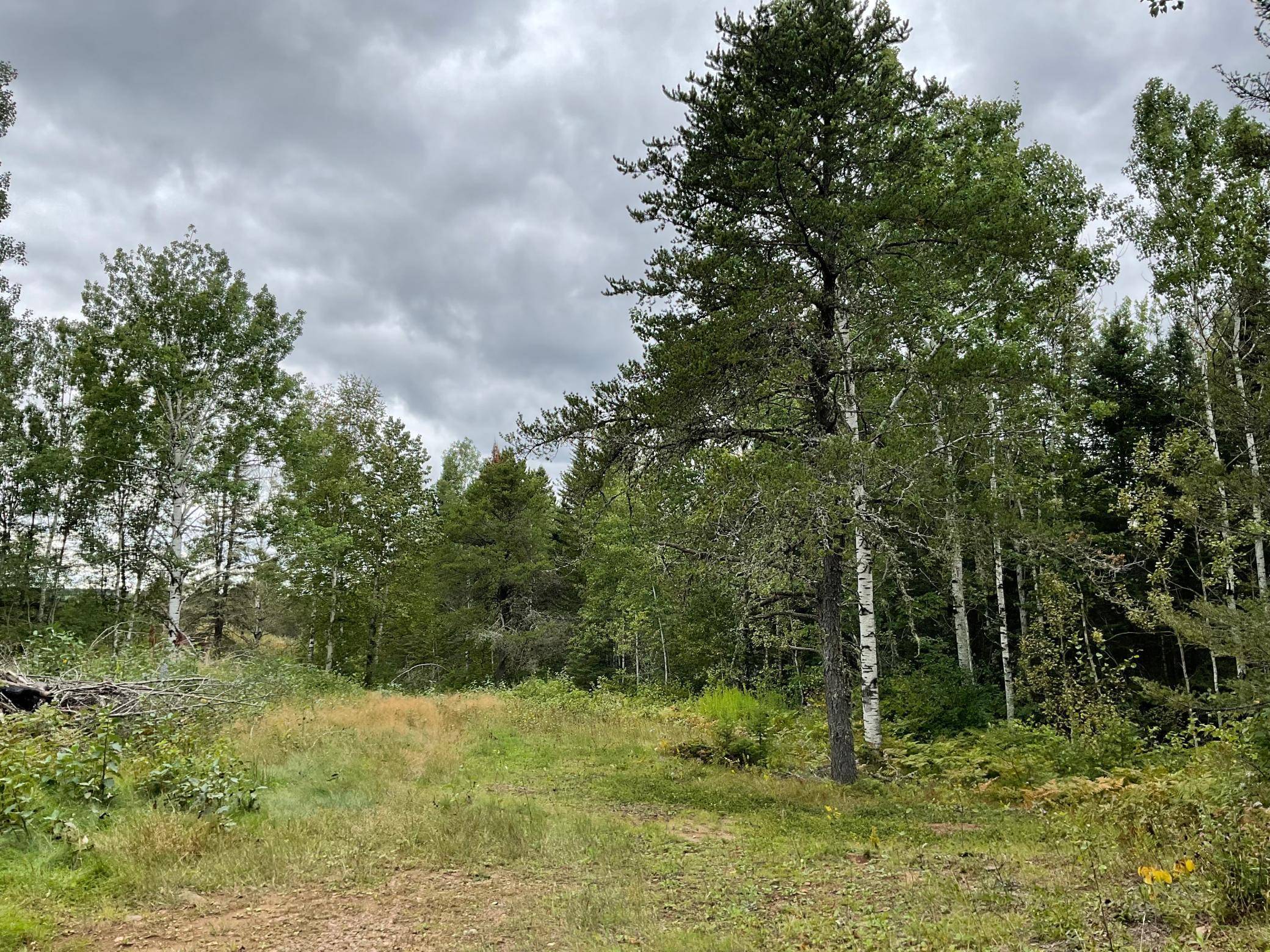 Tofte Twp, MN 55615,163 Pancore Lake RD