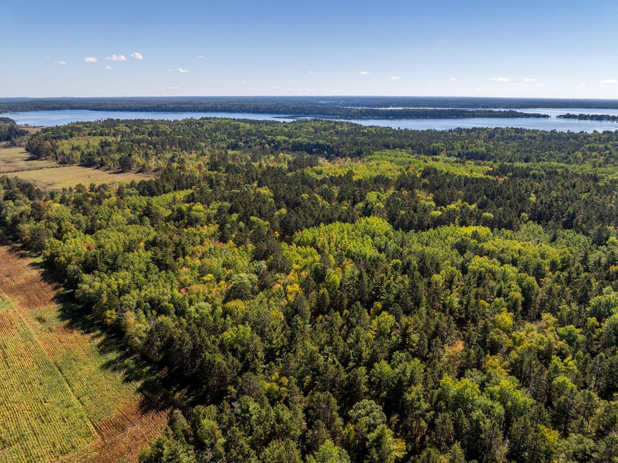 Timothy Twp, MN 56474,39687 Swanberg RD