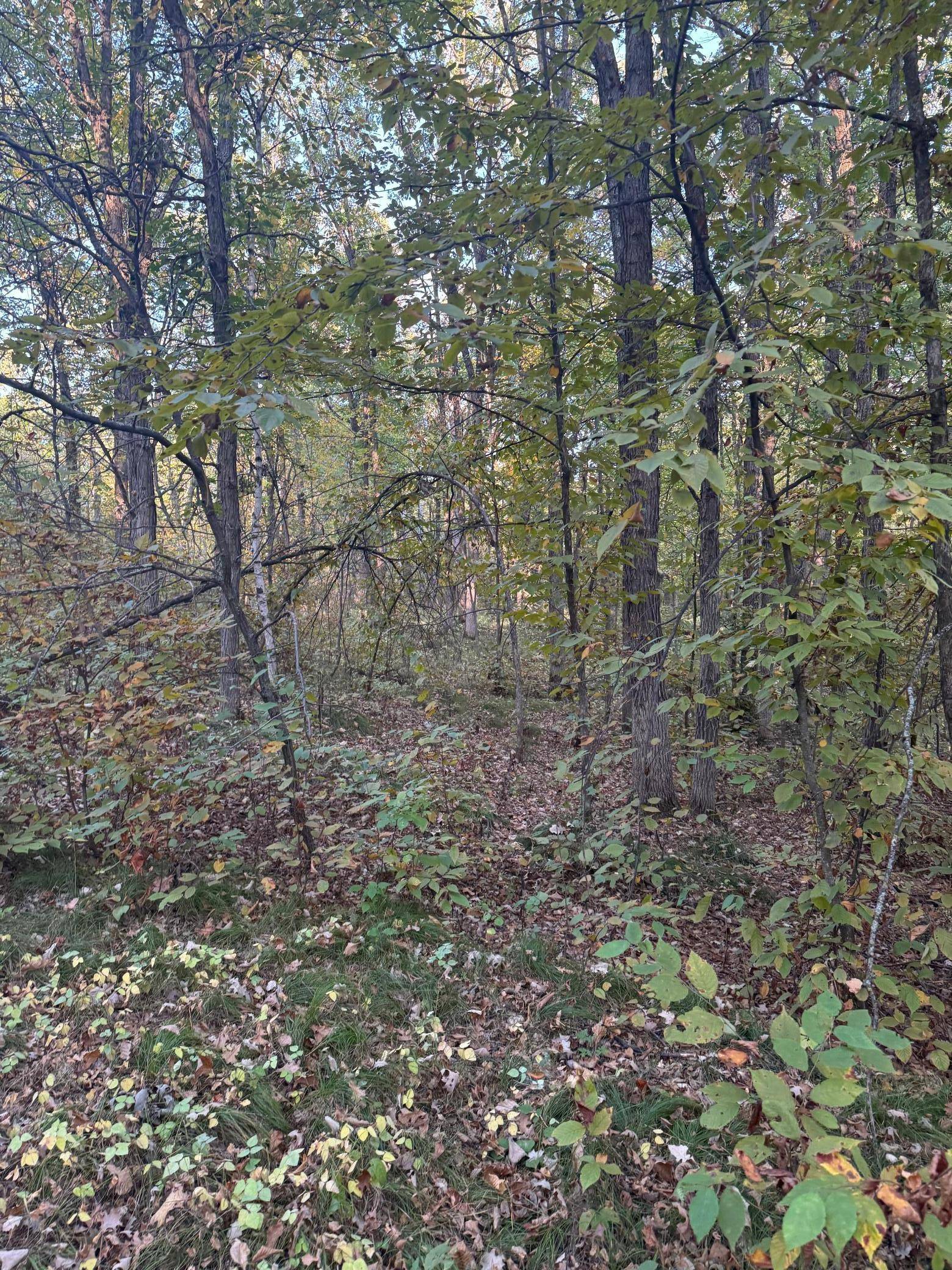 Breezy Point, MN 56472,TBD Dell Marie Place