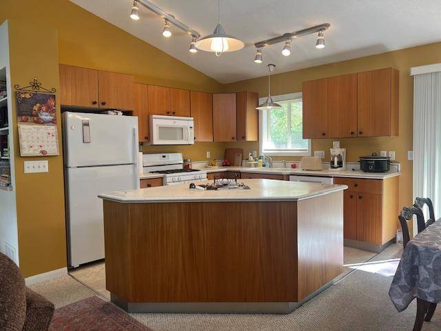 Faribault, MN 55021,2309 W Hill ST