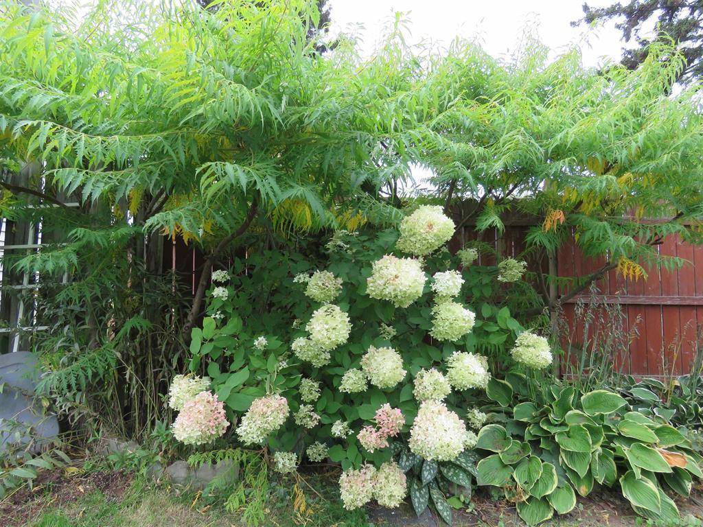 Superior, WI 54880,1719 N 22nd ST